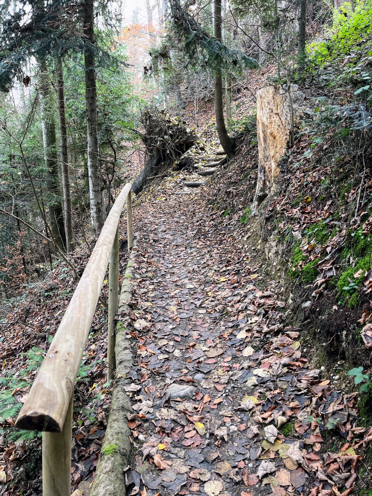 trans-swiss-trail-etappe-12-und-13-luetzelfluh-langnau-eggiswil-
