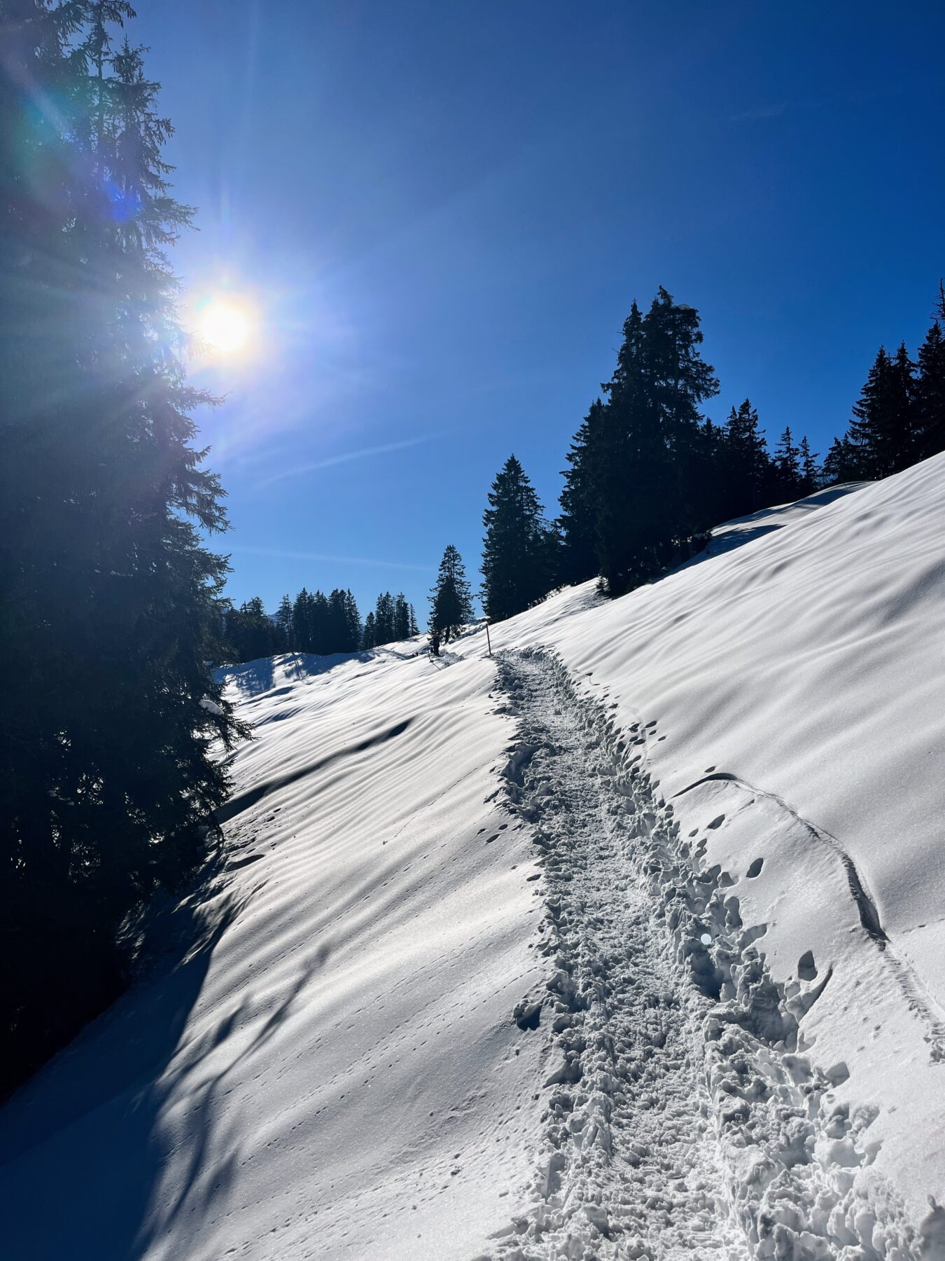 schneeschuhwanderung_oberiberg_furggelenstock__IMG_2800