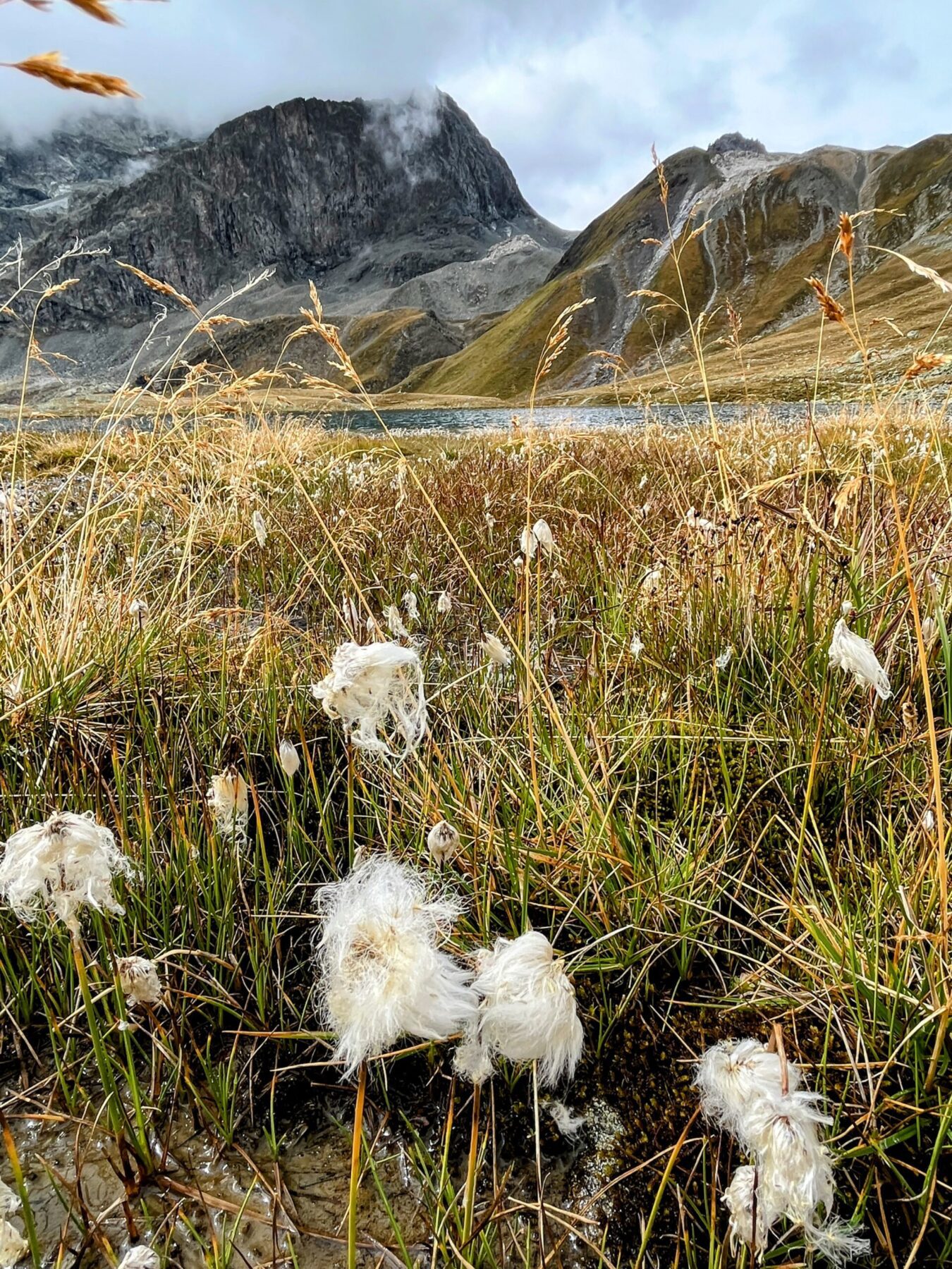 wanderung_bernina_trek_tag_3_jenatschhuette_silvaplana_