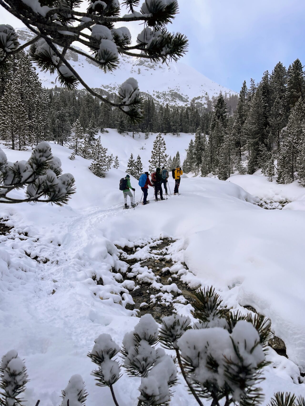 schneeschuhtour_buffalora_