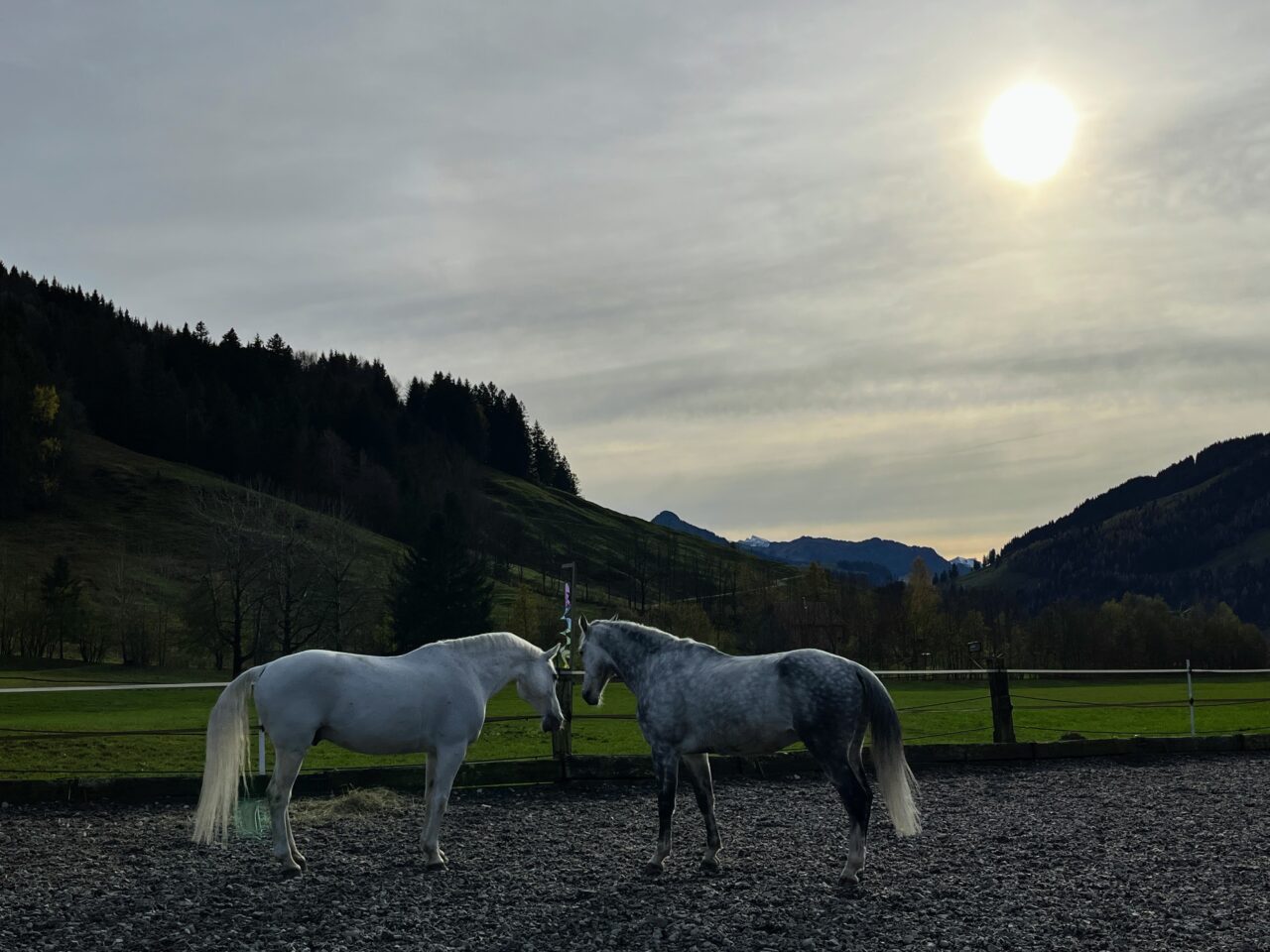 wanderung_waegitalersee_gross_aubrig_