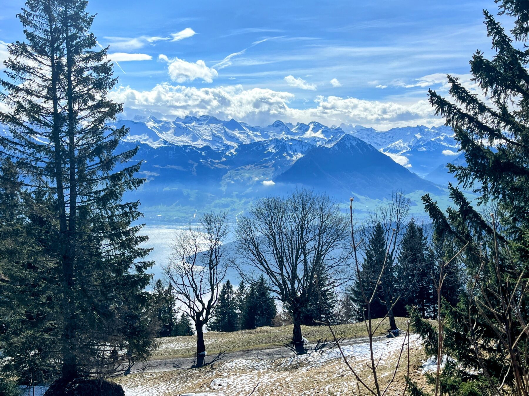wanderung_greppen_rigi_