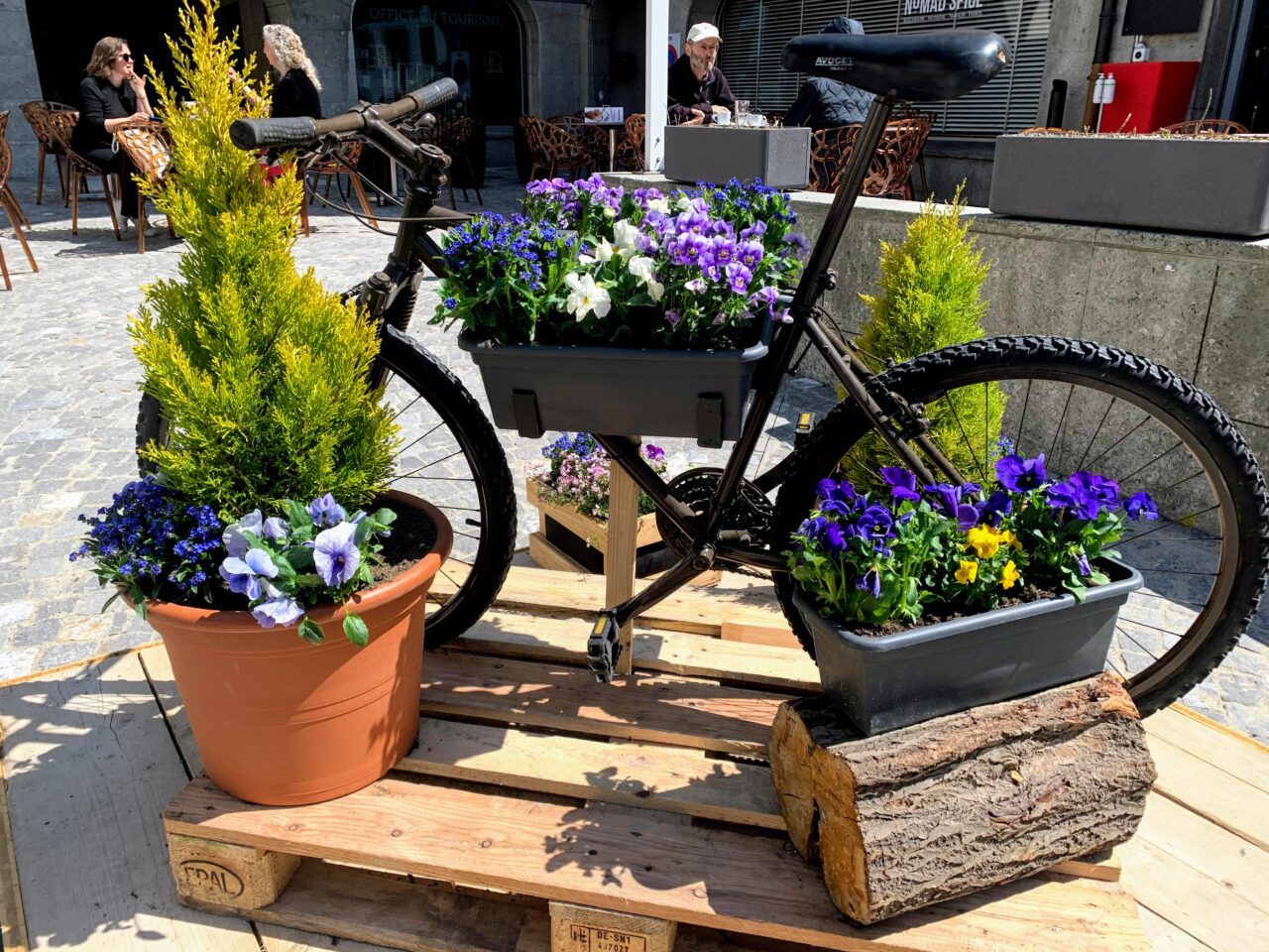 velotour_mittellandroute_avenches_yverdon__IMG_7695