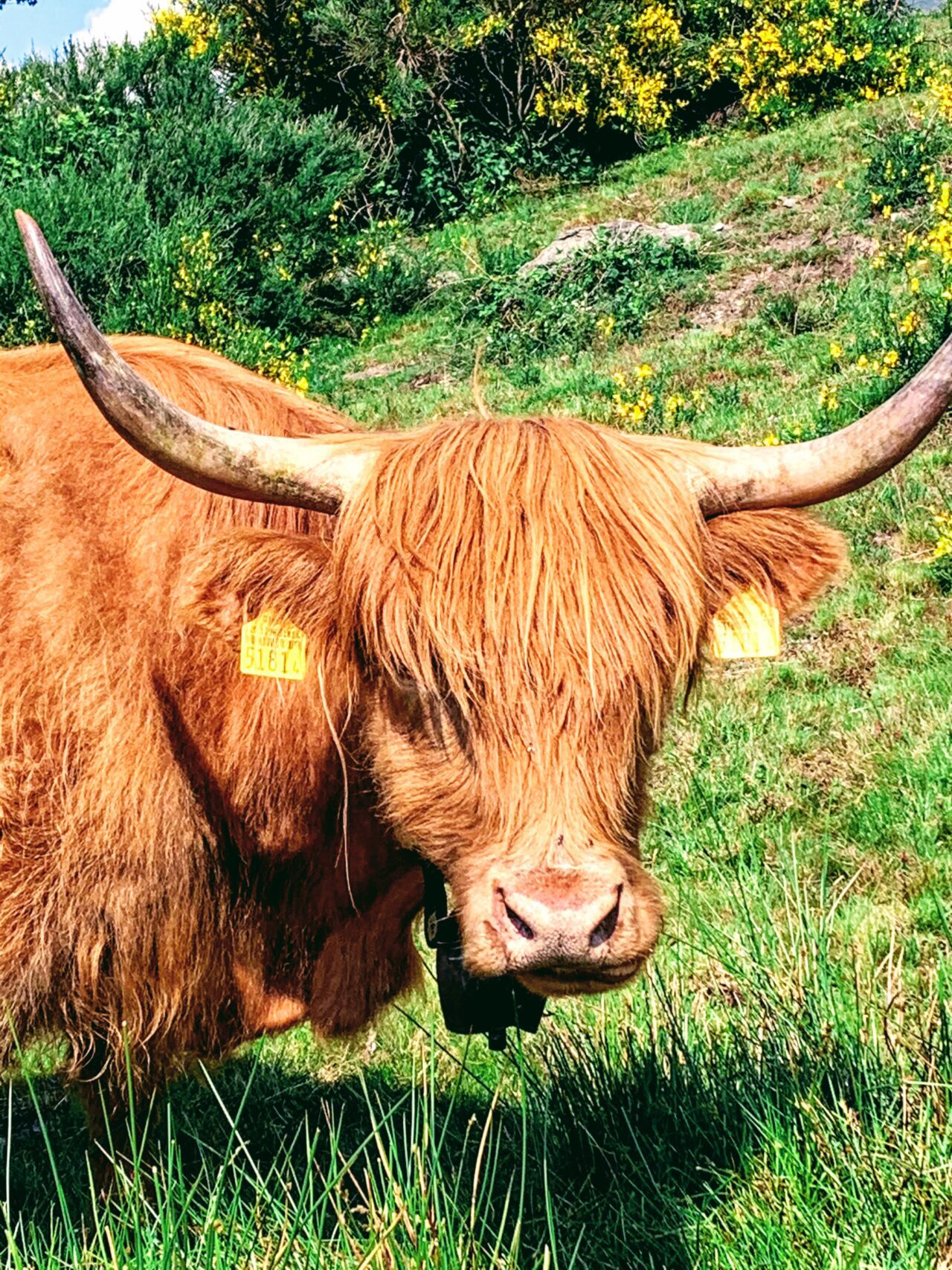 wanderung_motto_della_croce_