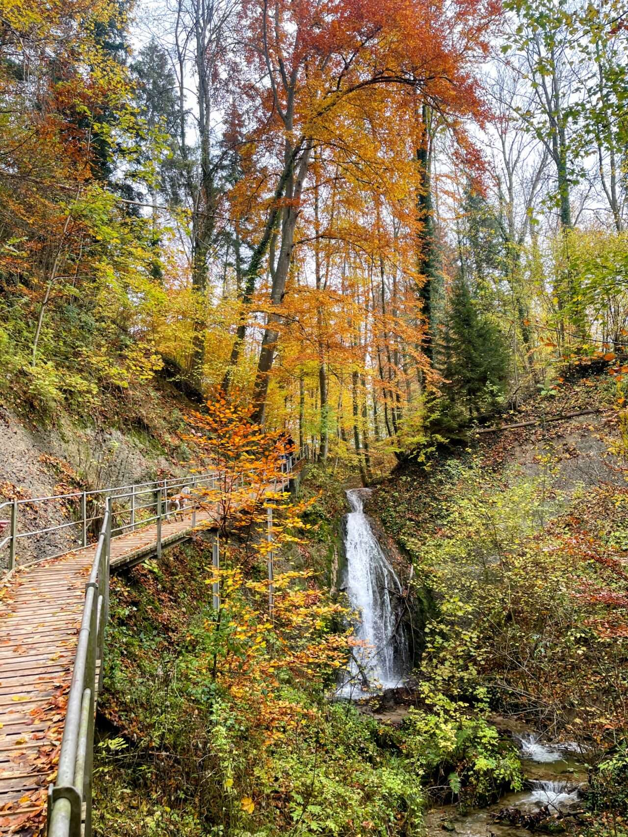 wanderung_schauenberg_