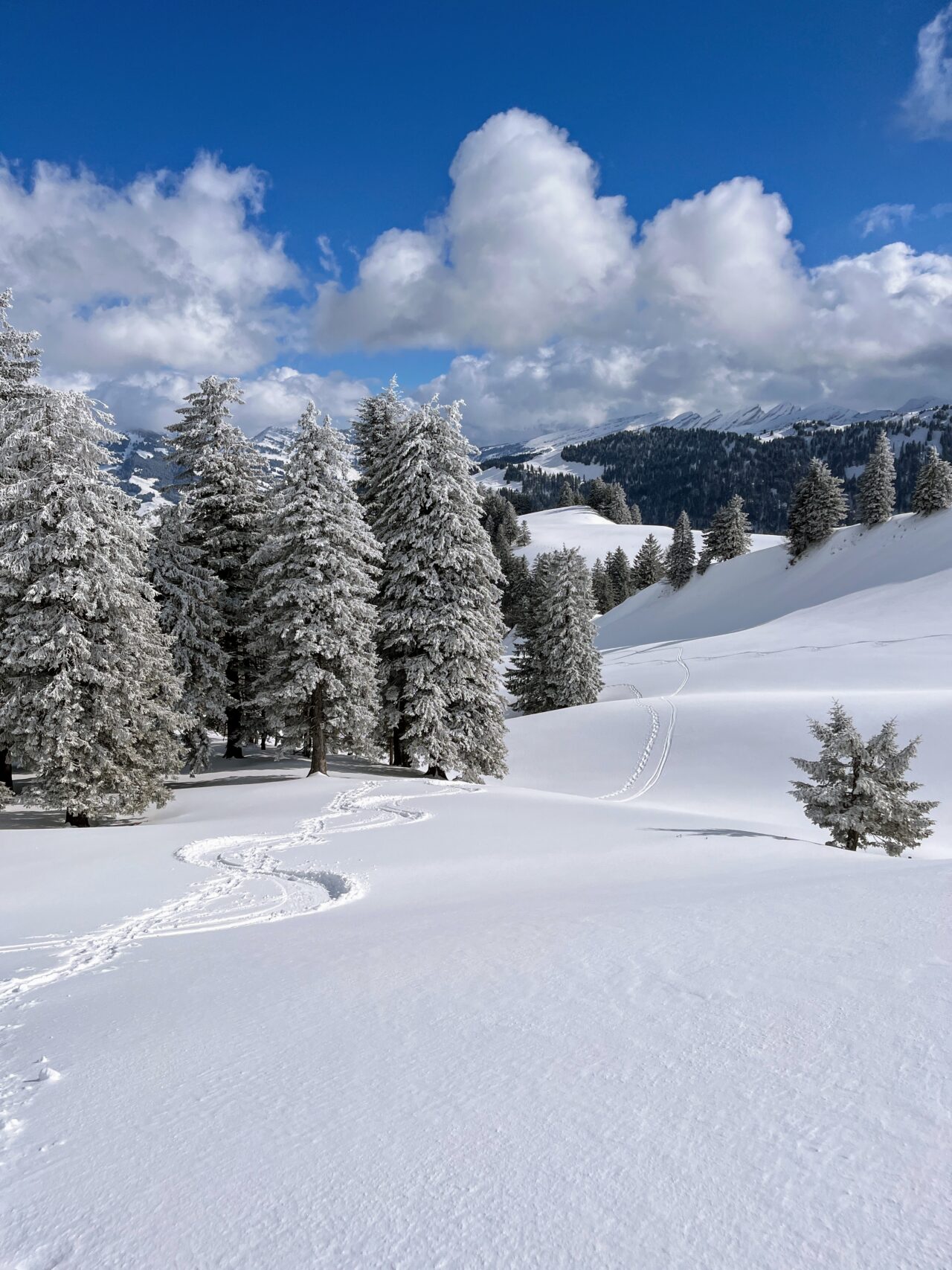 schneeschuhwandern_tanzboden__IMG_1905