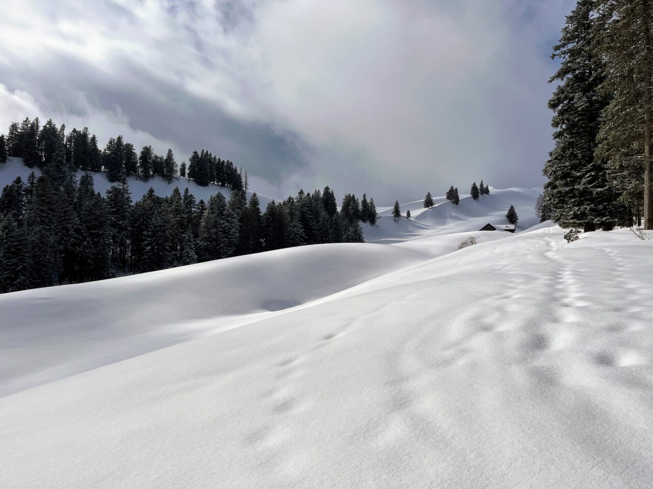 schneeschuhwandern_tanzboden__IMG_1870