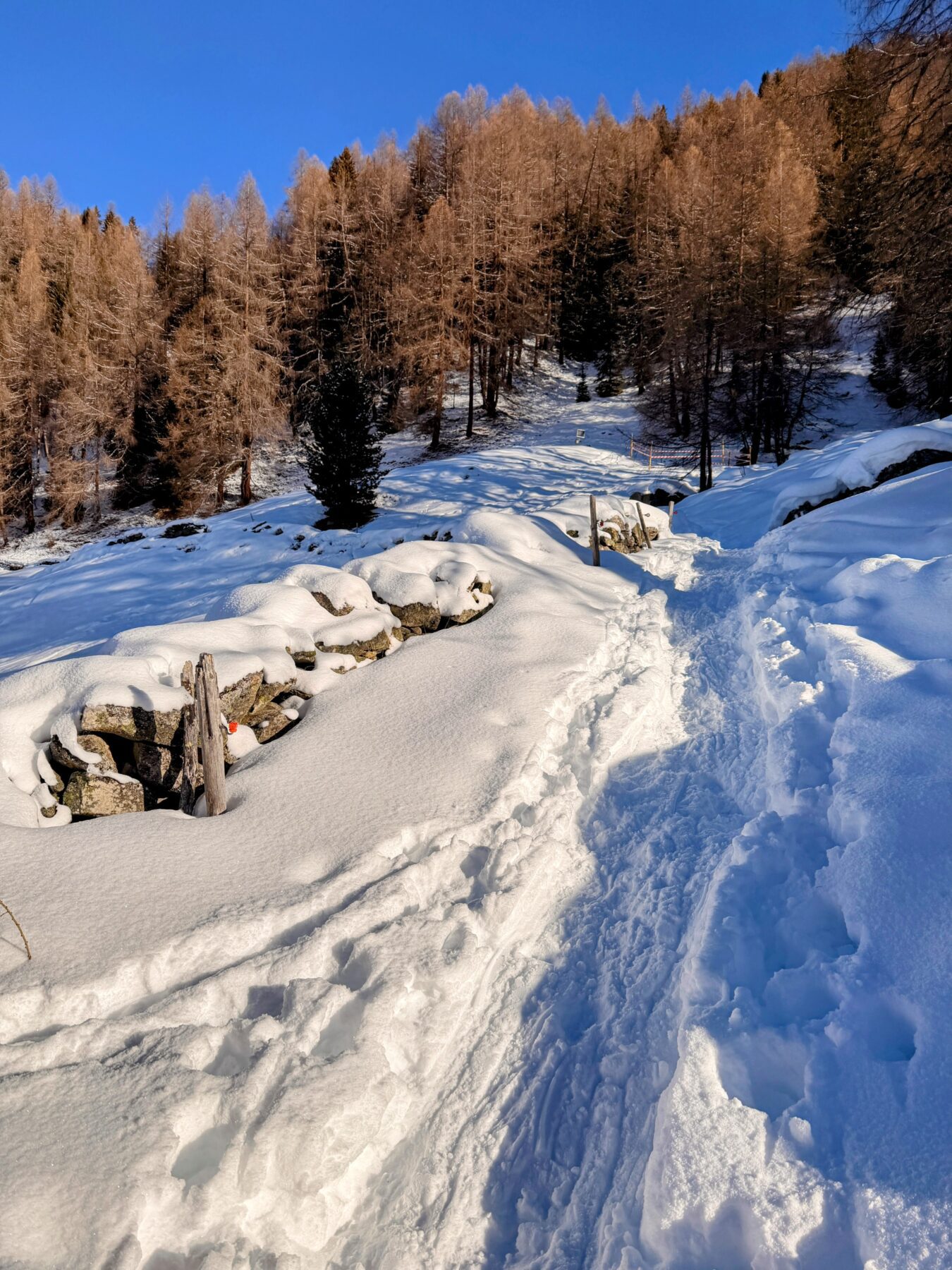 schneeschuhtour_pischa_