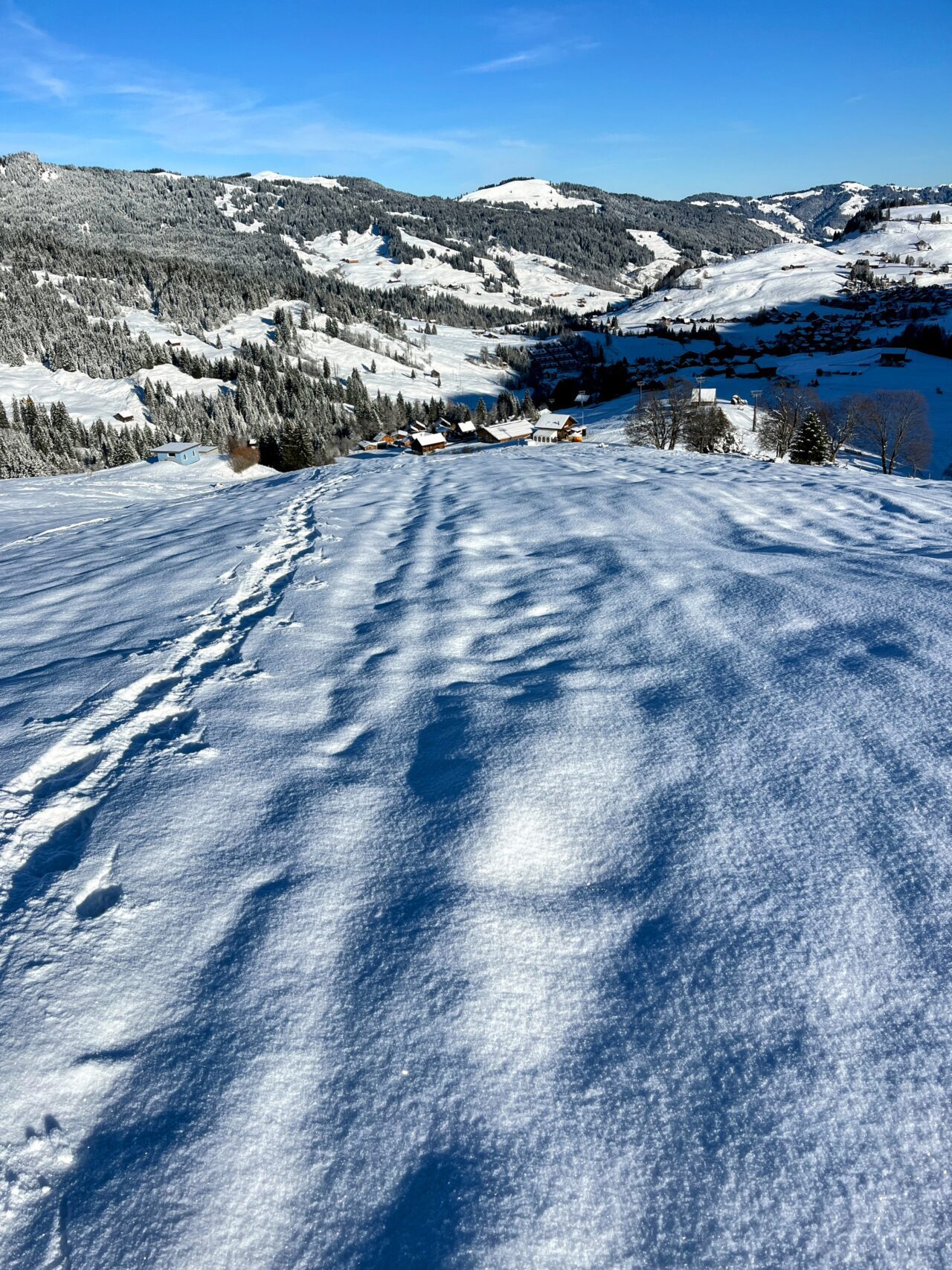 schneeschuhtour_laucherenstoeckli_ibergeregg_brunni__IMG_5744