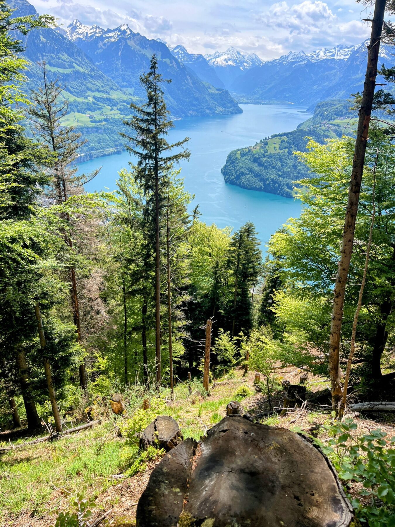 wanderung_brunnen_urmiberg_schwand_stockflue_