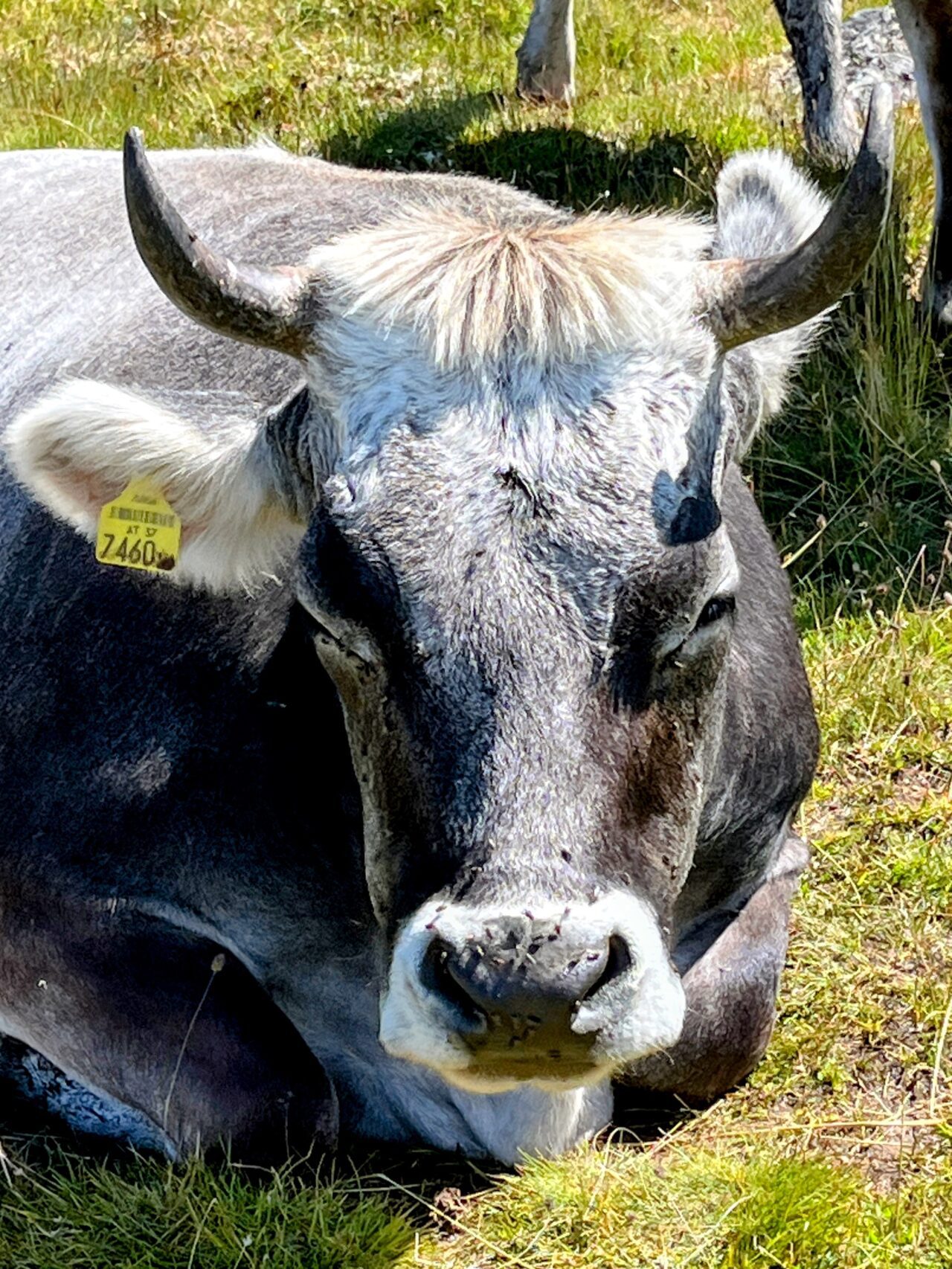 wanderung_brunnenkogelhaus_