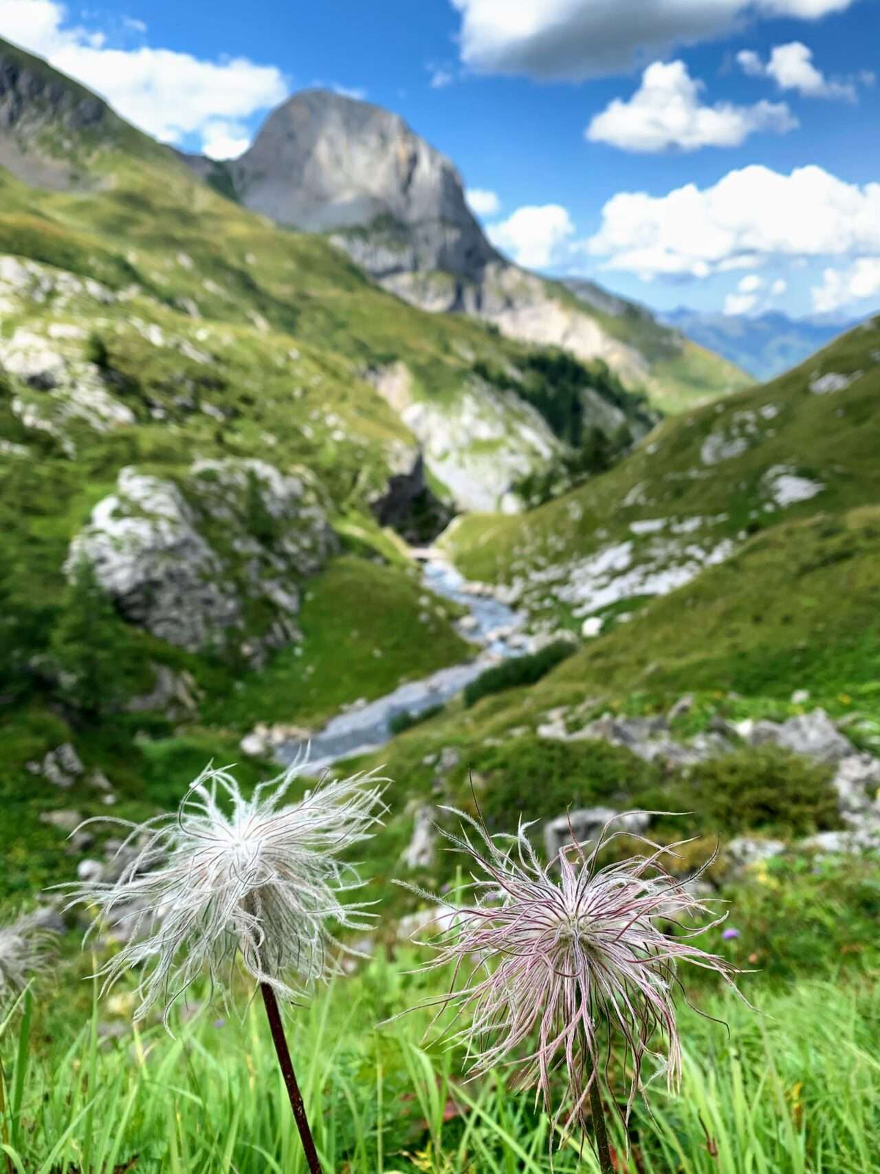 wanderung_tour_du_wildhorn_