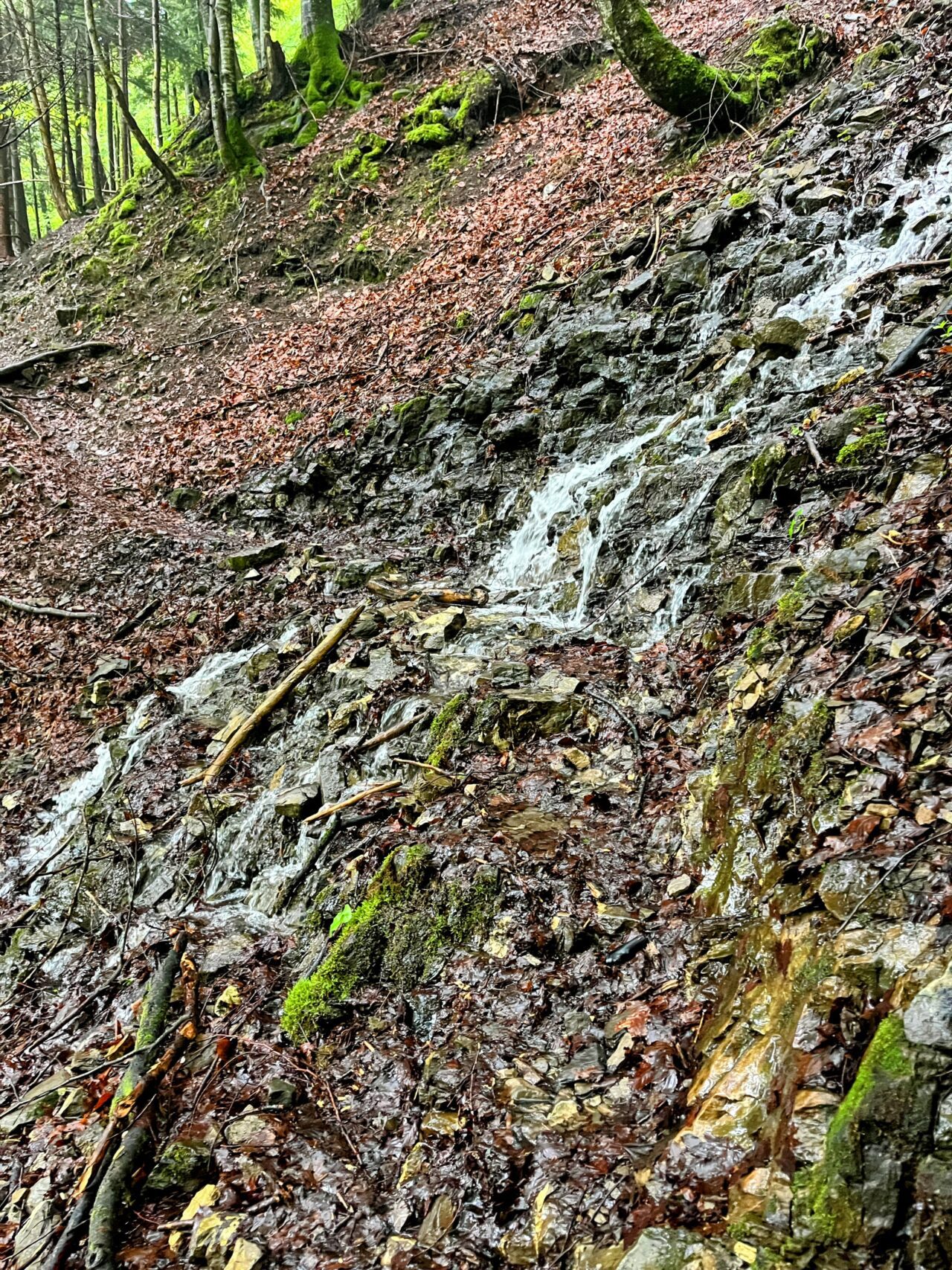 wanderung_hintere_unteriberg_stoos_fronalpstock_