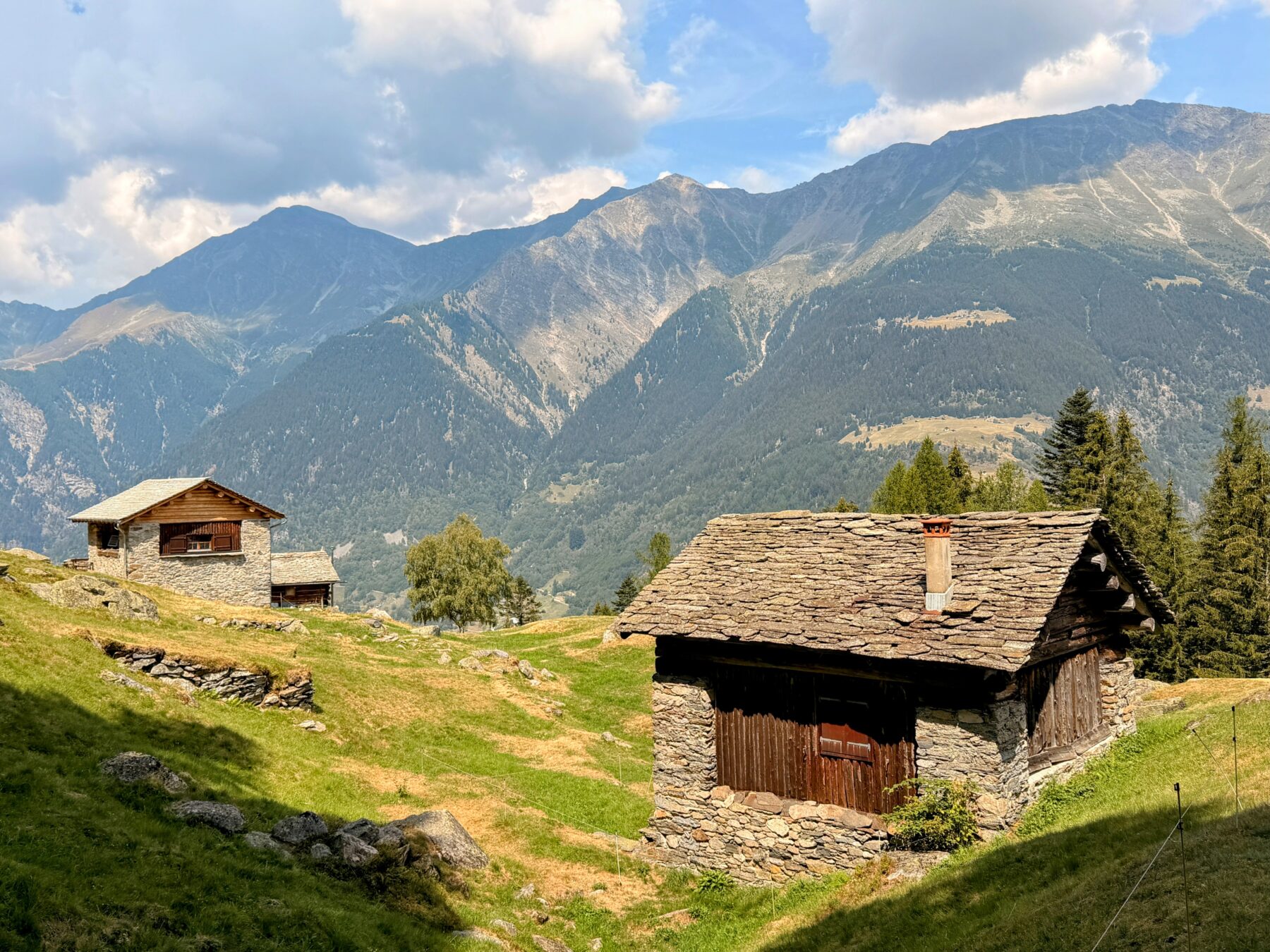 wanderung_sentiero_alpino_bregaglia_sasc_furae_huette_bondo__IMG_0589