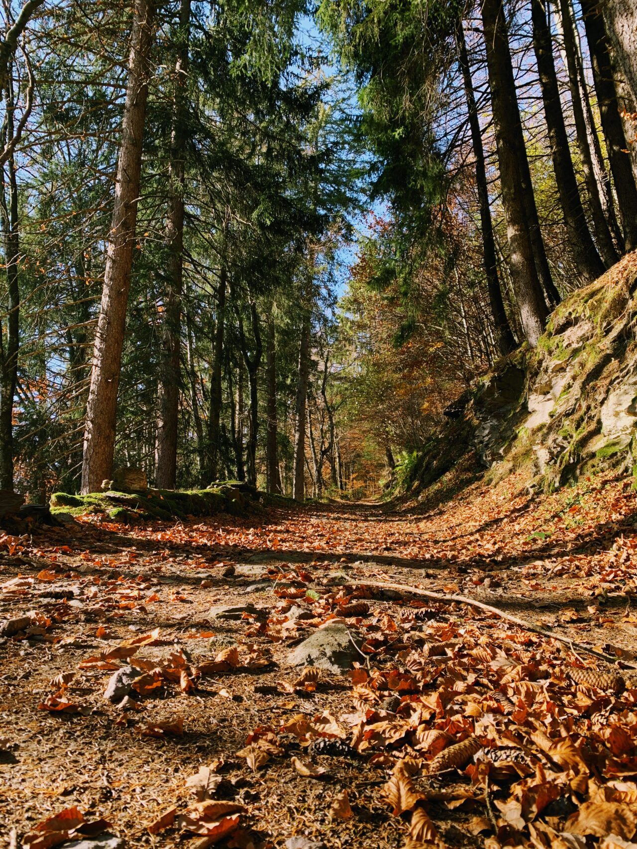 via_alpina_etappe_2_sargans_weisstannen_