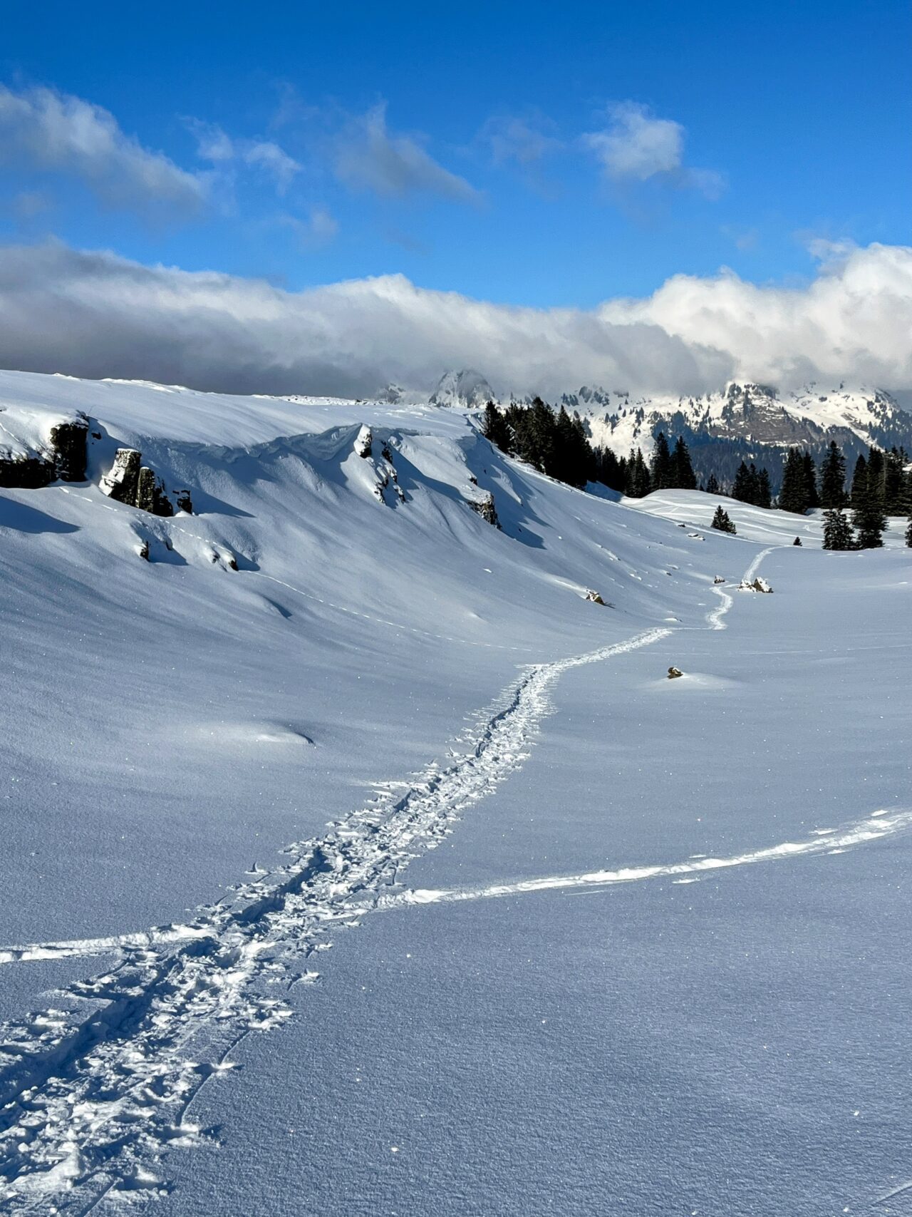 schneeschuhwandern_alp_sellamatt_fruemseltal__IMG_6726