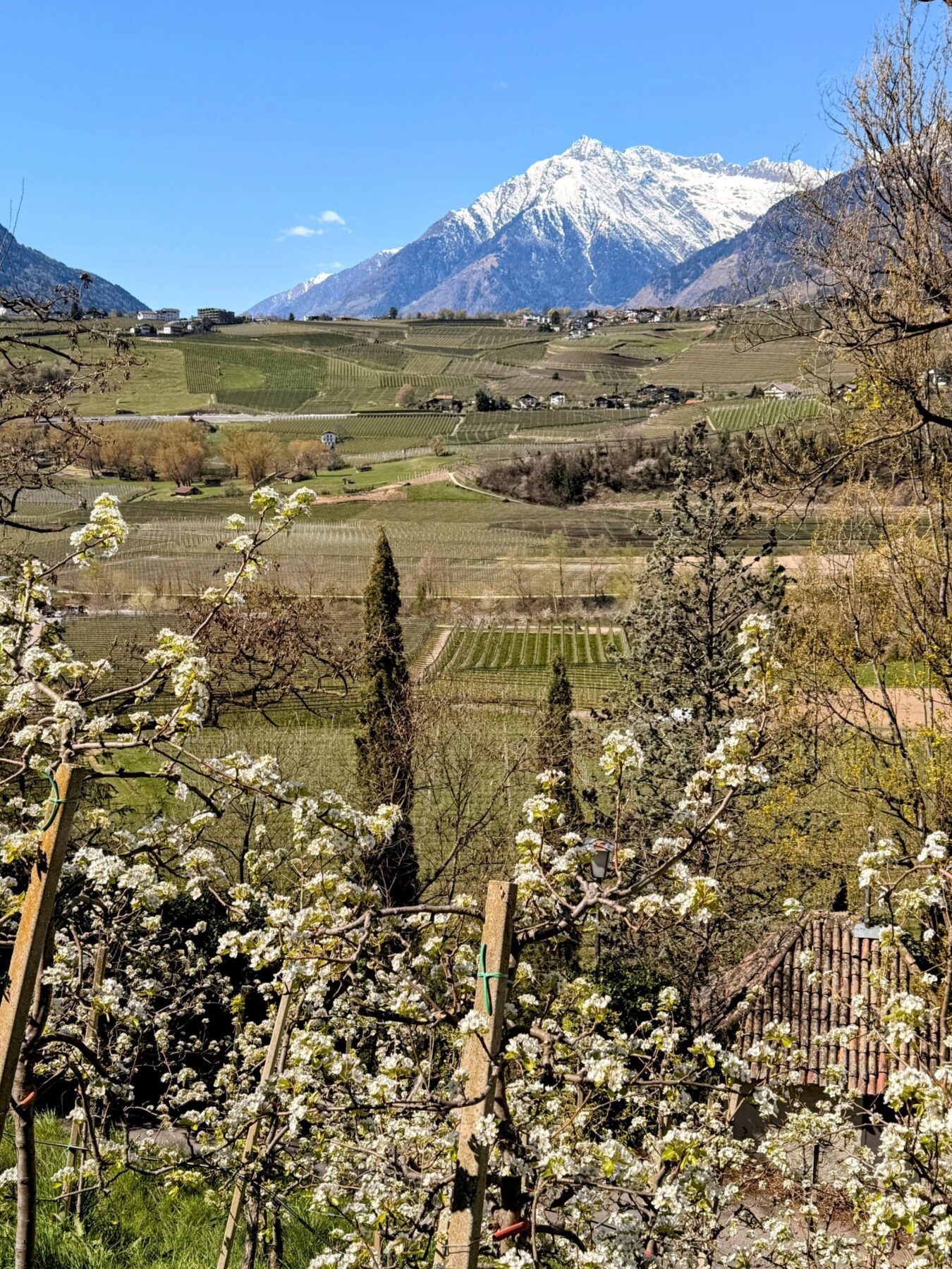 wanderung_maiser_waalweg_tappeinerweg_dorf_tirol_