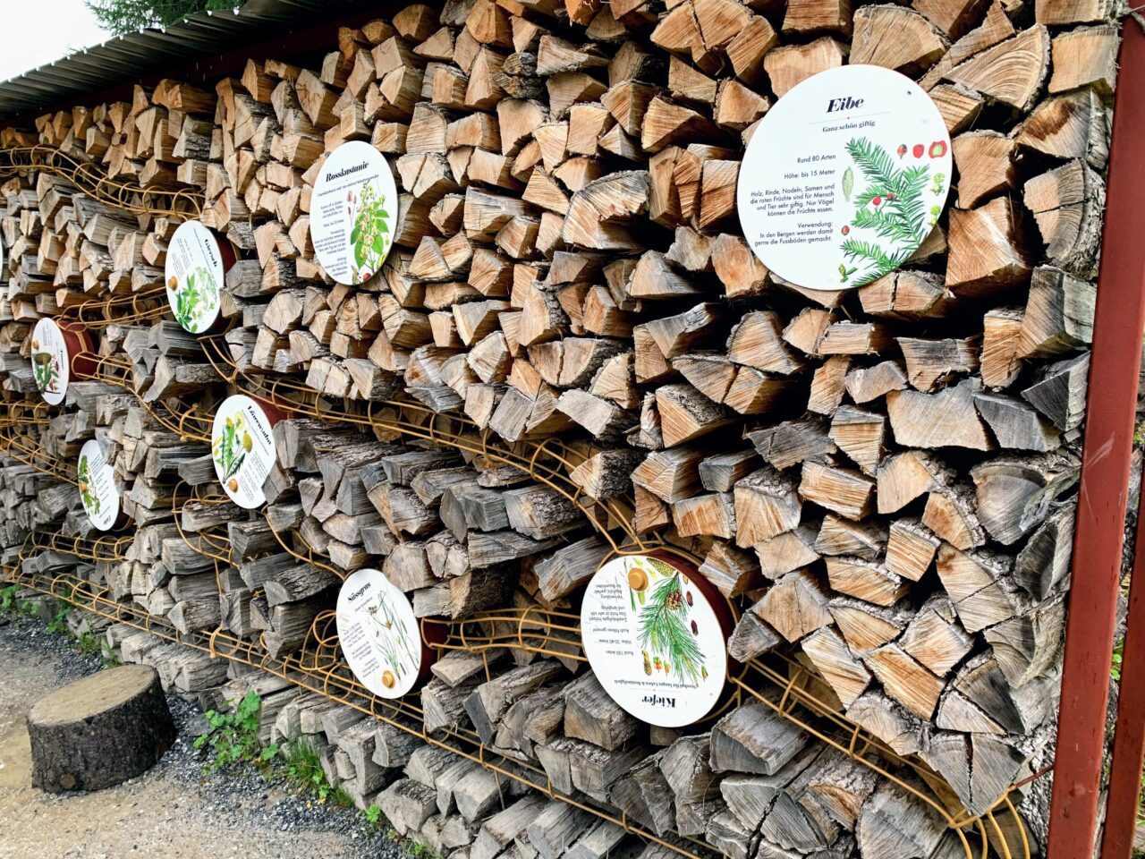 wanderung_lenzerheide_globiweg_