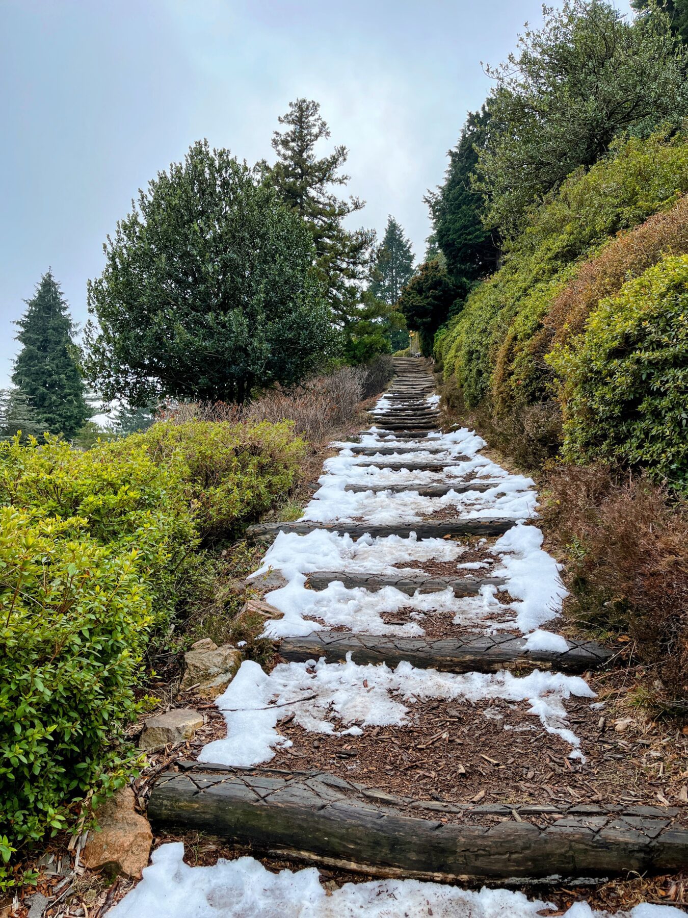 wanderung_transswiss_etappen_29_bis_32_bellinzona_mendrisio_