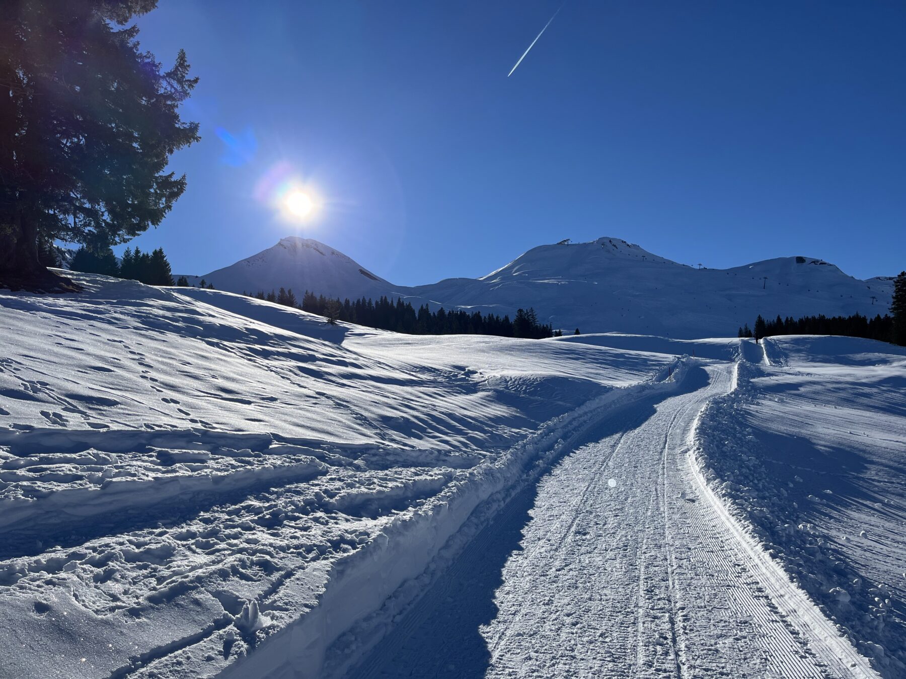 schneeschuhwandern_stoos__IMG_0051