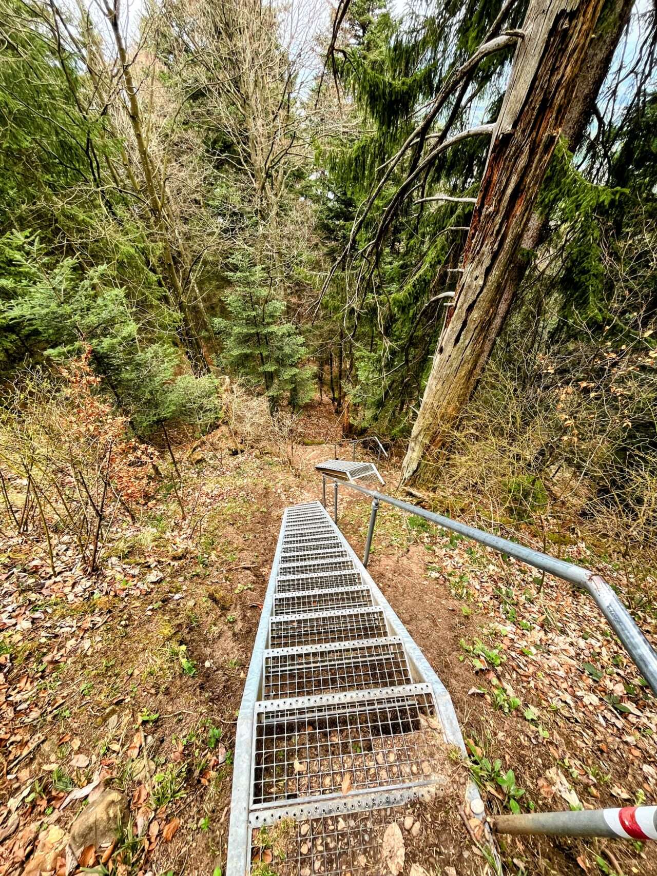 wanderung_weggis_rigi_