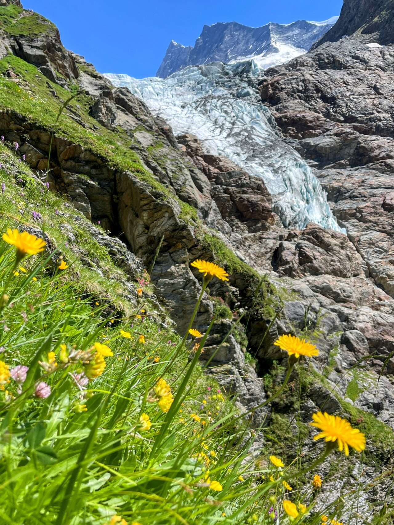 Wanderung_grindelwald_schreckhornhütte_