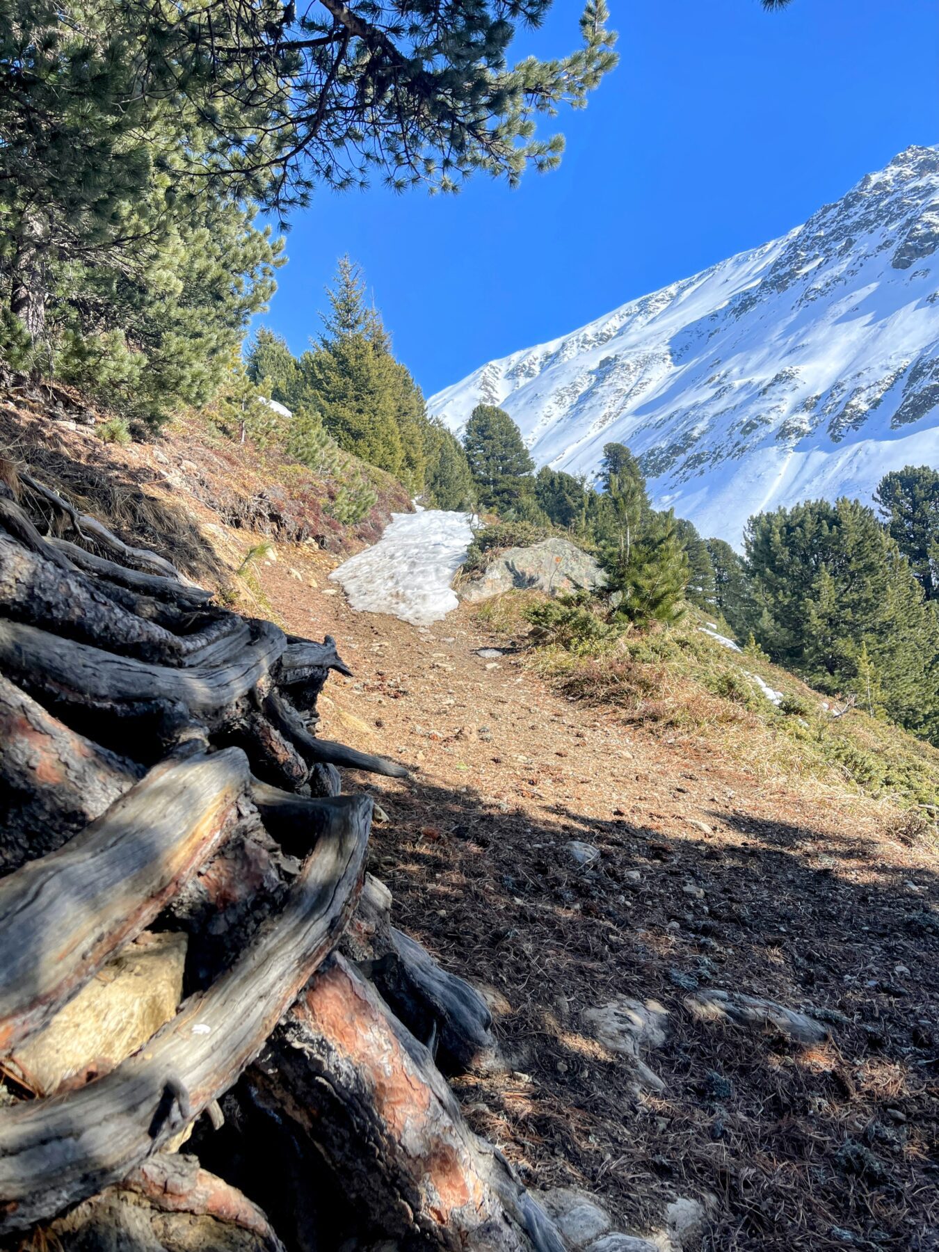 schneeschuhwanderung_berguen_keschhuette_