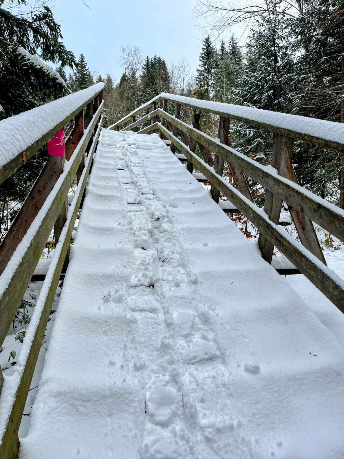 schneeschuhtour_biberegg_hochstuckli_haengebruecke__IMG_2110