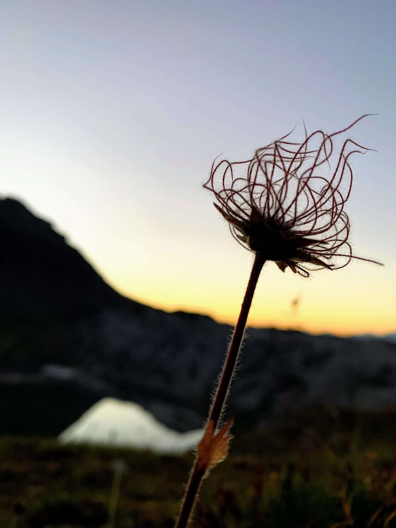 wanderung_tour_du_wildhorn_