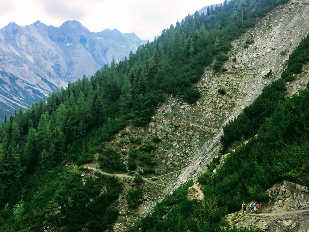 wanderung_zernez_nationalpark_chamanna_cluozza_