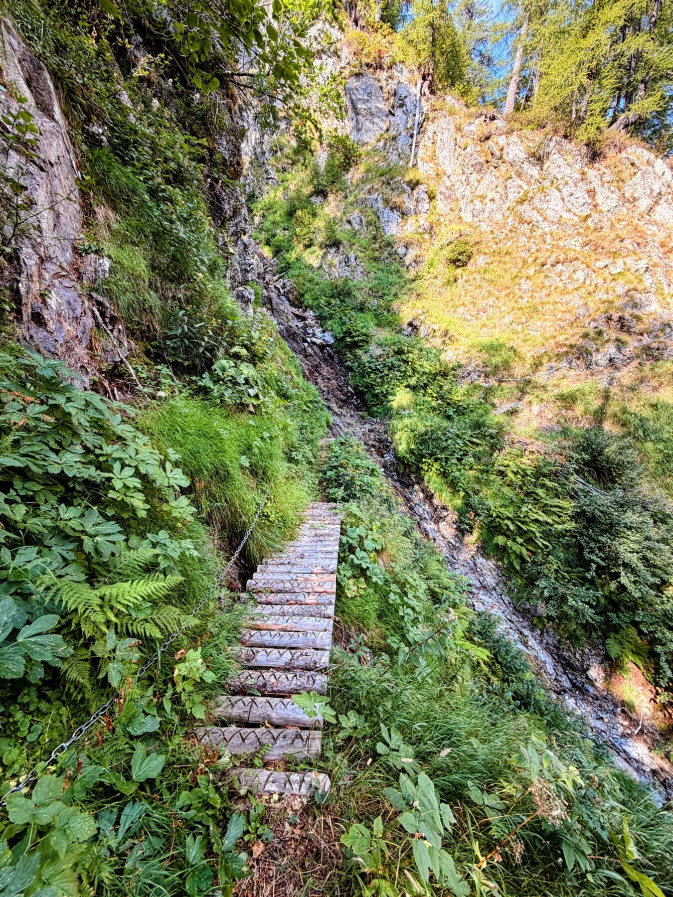 wanderung_sentiero_alpino_bregaglia_sasc_furae_huette_bondo__IMG_0573