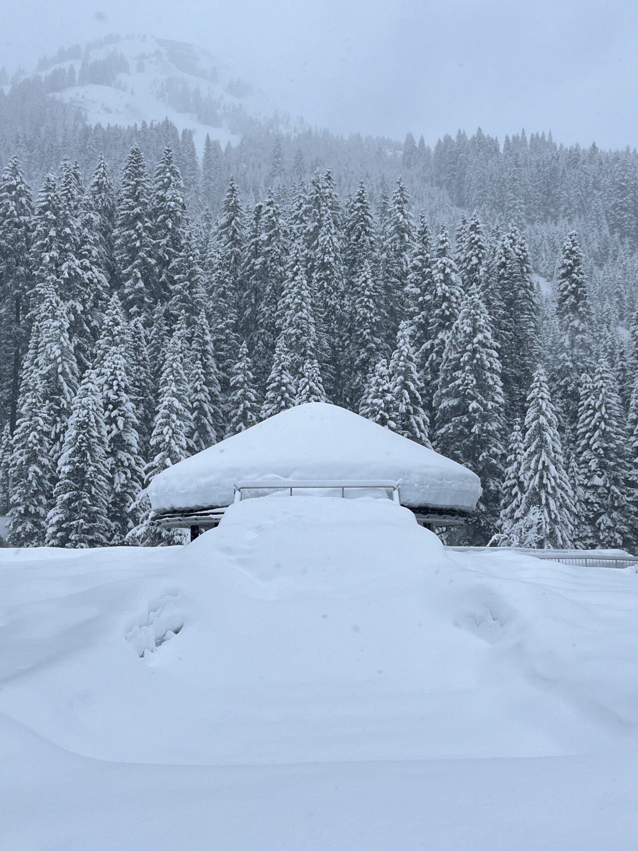 winterwanderung_lech_zug_vorderes_aelpele__IMG_4512