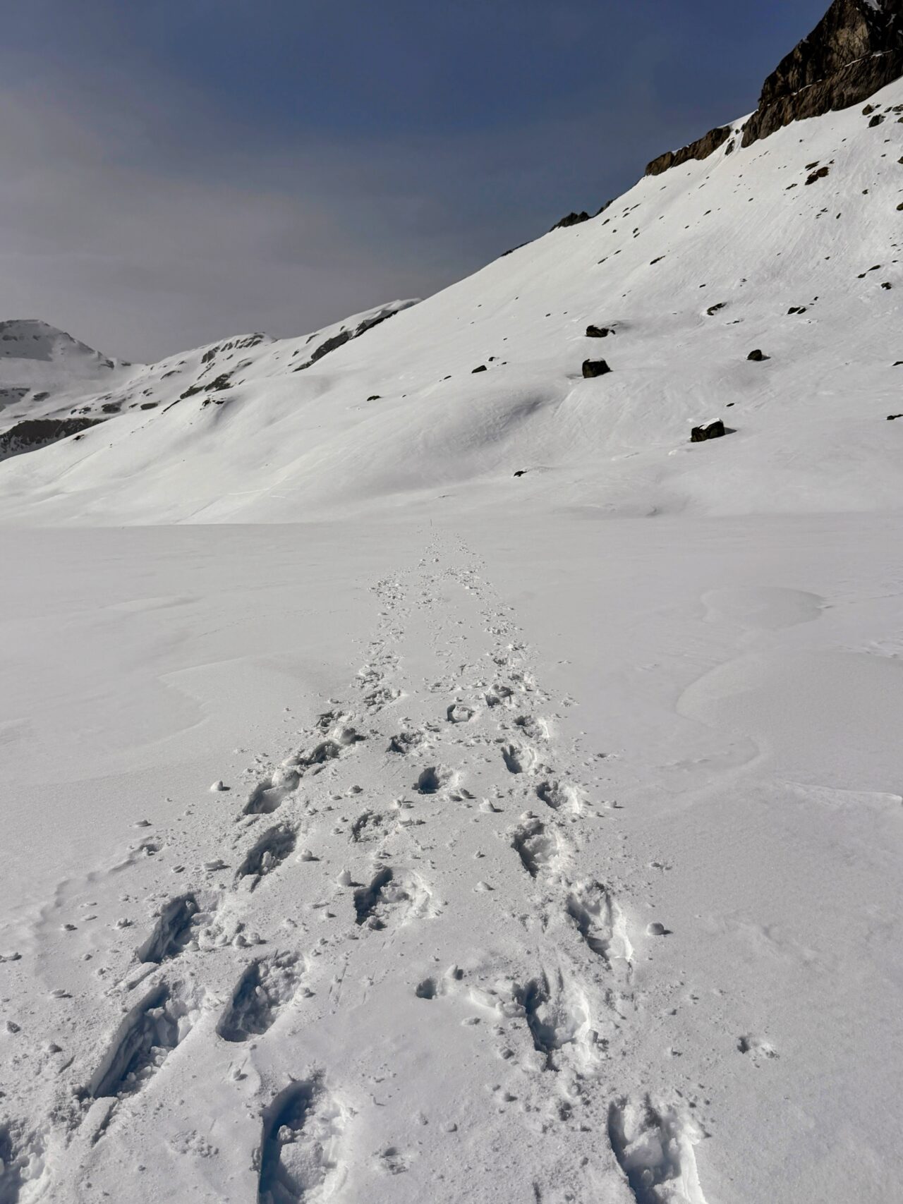 schneeschuh_safari_graubuenden_oberer_segnesboden_flims__IMG_0449