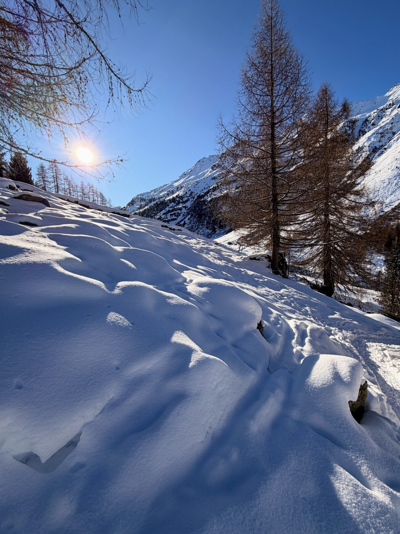 schneeschuhtour_pischa__IMG_9453