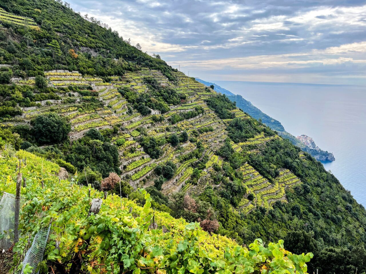 wandern_cinque_terre_