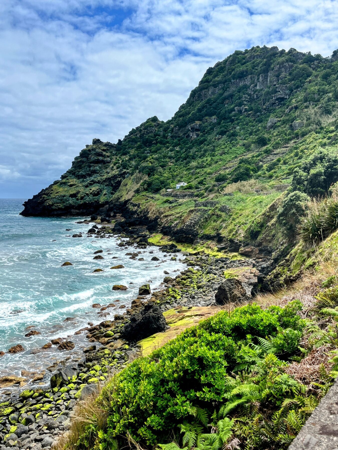 wanderung_ilha_a_pe_tag_3_lapa_norte_