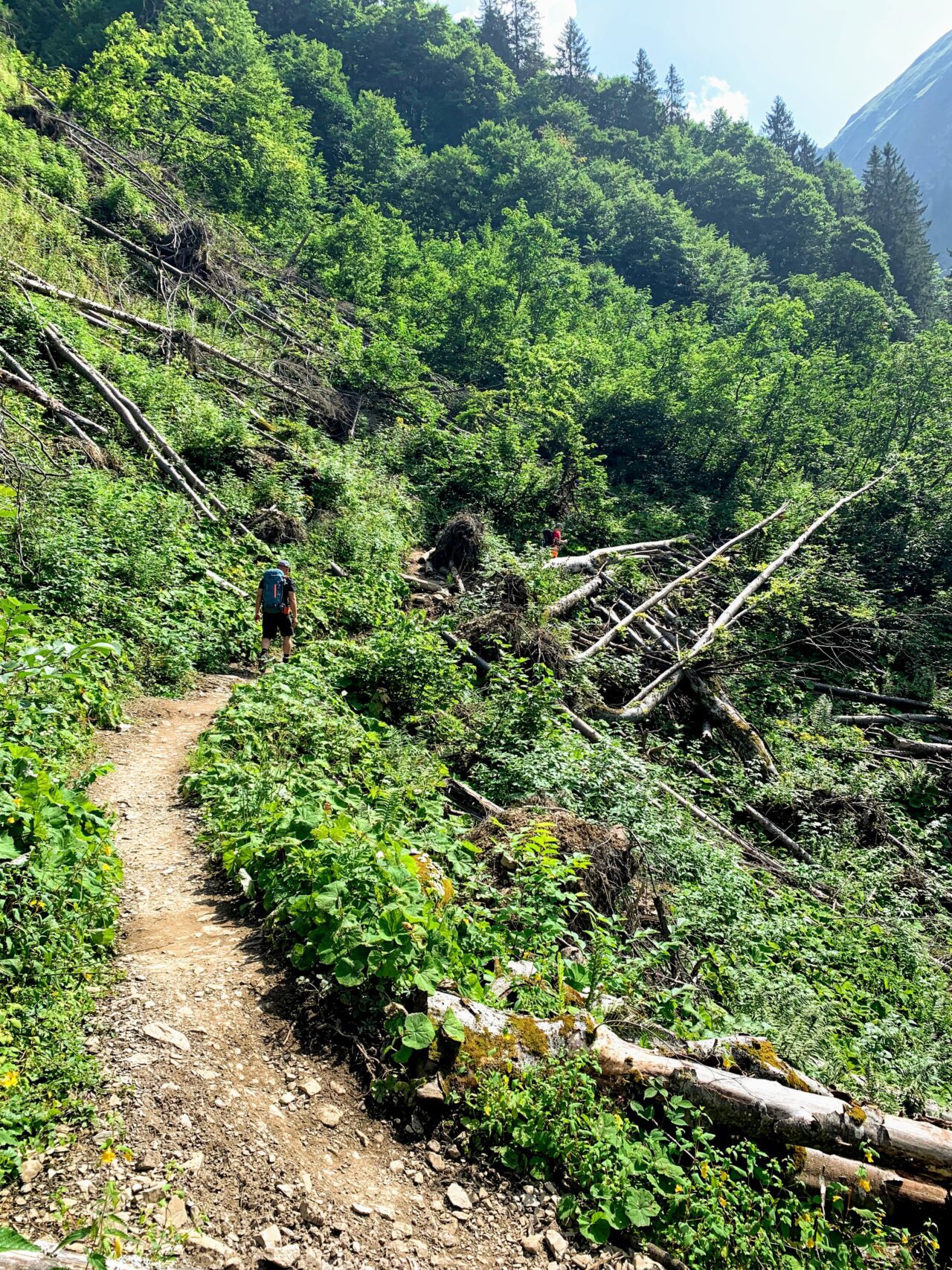 alpenueberquerung_mit_kindern_tag_1_spielmannsau_kemptner_huette_
