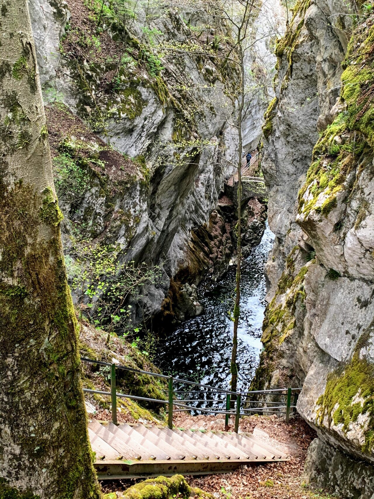 wanderung_areuse_schlucht_