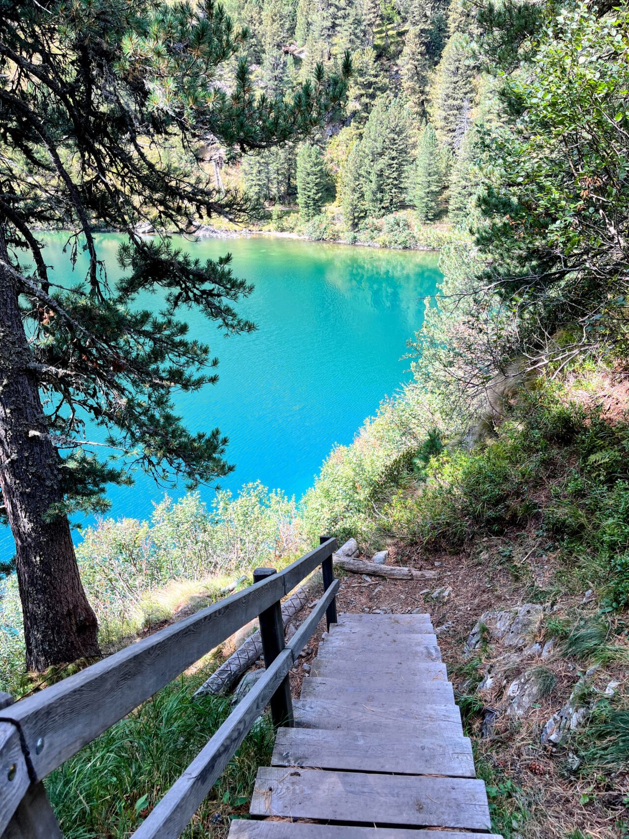 wanderung_sentiero_bernina_sud_