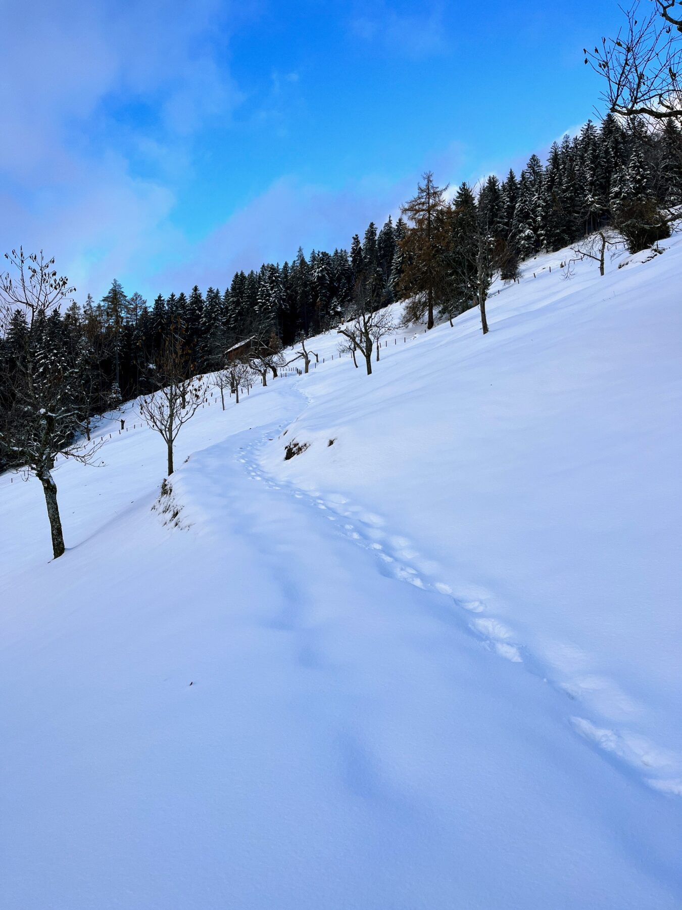 schneeschuhwanderung_wildspitz__IMG_2196