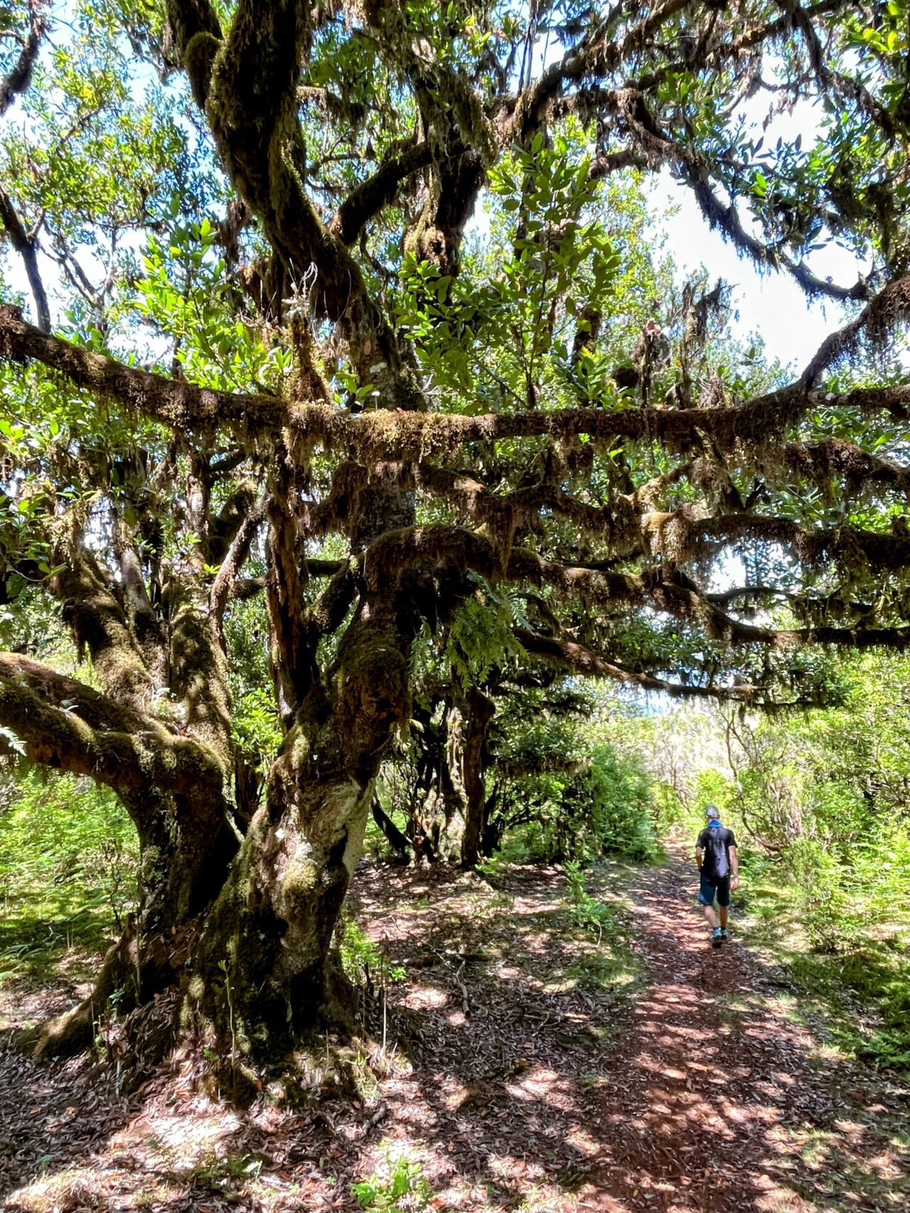 wanderung_fanal_