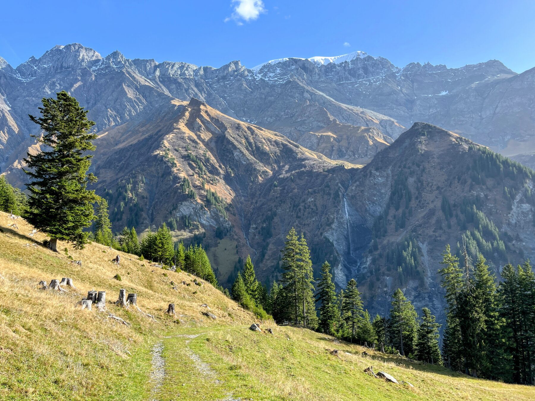 via_alpina_etappe_3_weisstannen_elm_