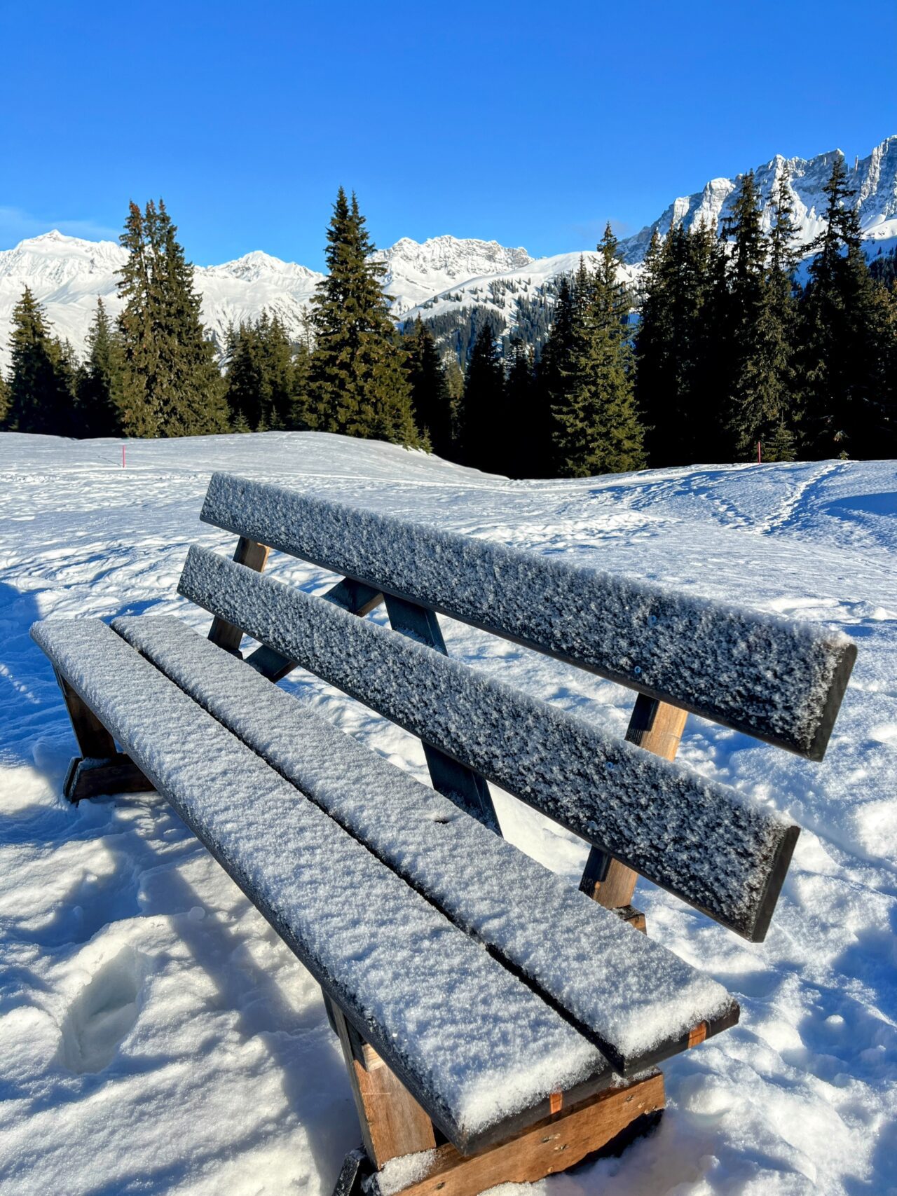 schneeschuhtour_st_antönien_chrüz__IMG_3655