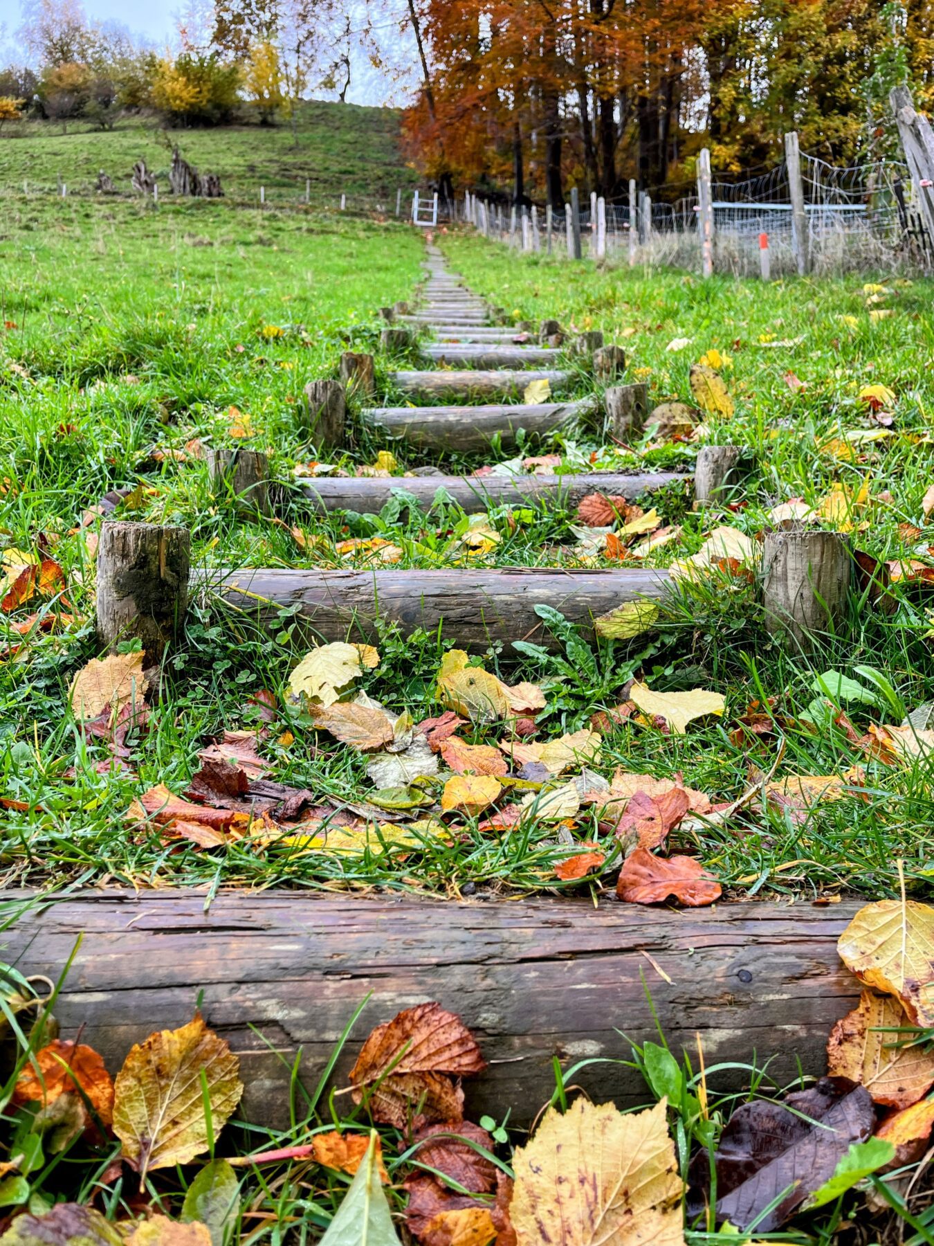 wanderung_trans_swiss_trail_etappe_10_11_bern_worb_lützelflüh_