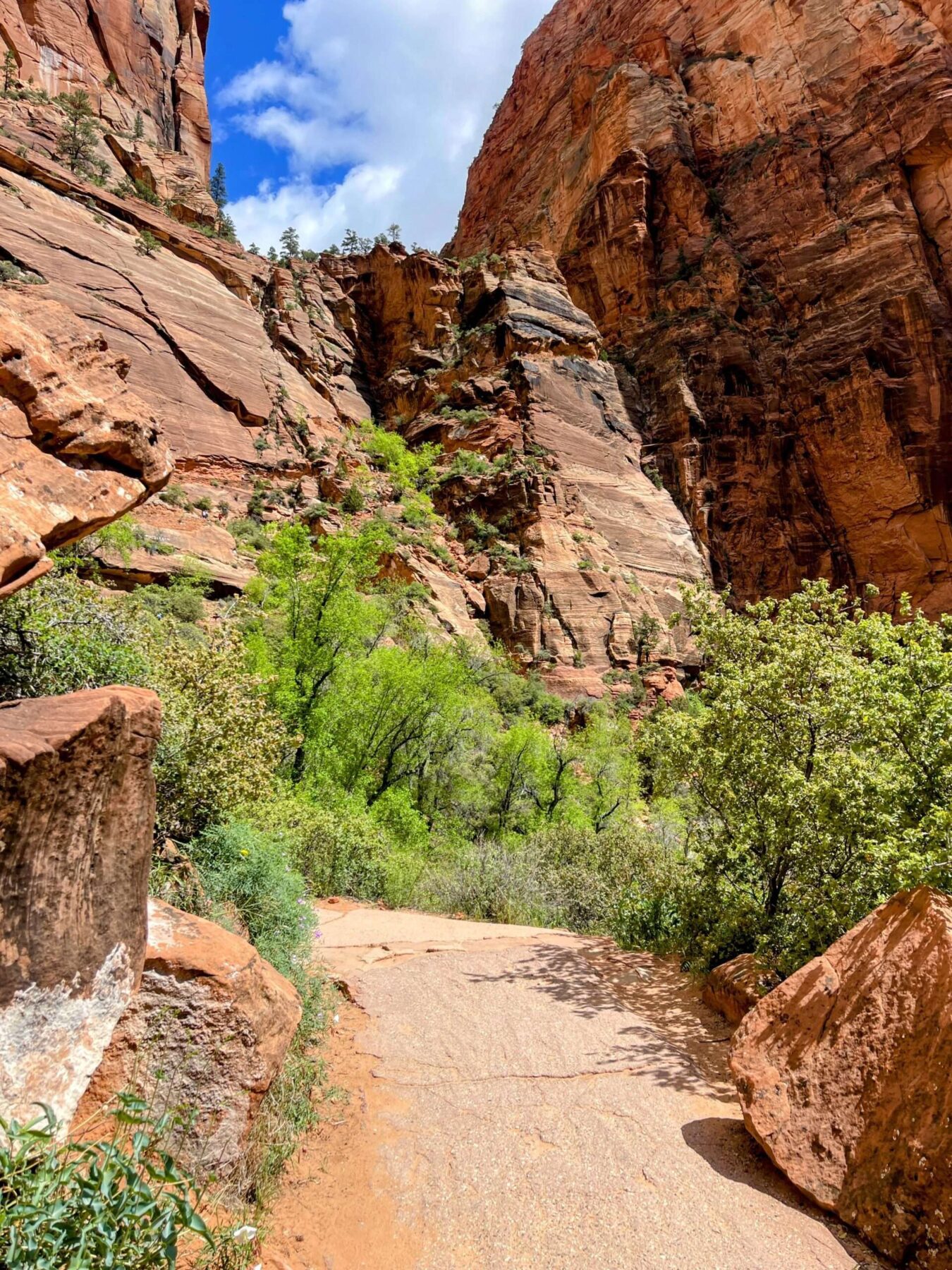 wanderung_zion_nationalpark_angels_landing_