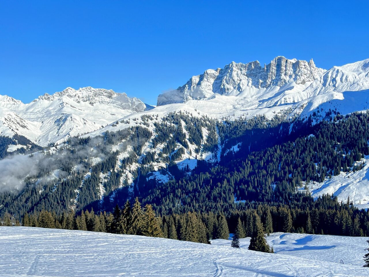 schneeschuhtour_st_antönien_chrüz__IMG_3665