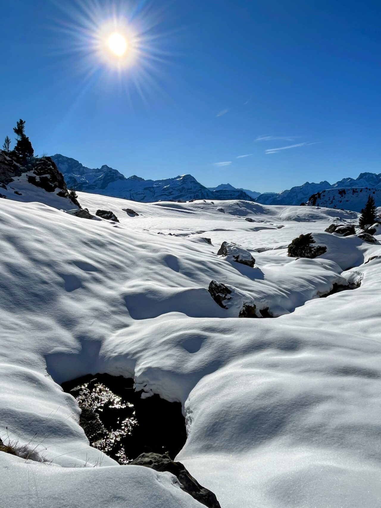 Schneeschuhe_winterwandern_eggberge_hueenderegg_ratzi__IMG_5677