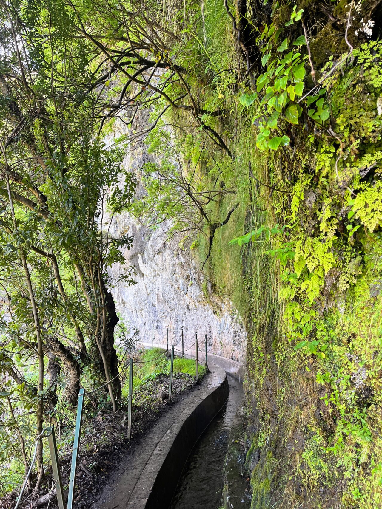 wanderung_levada_nova_levada_moinho_