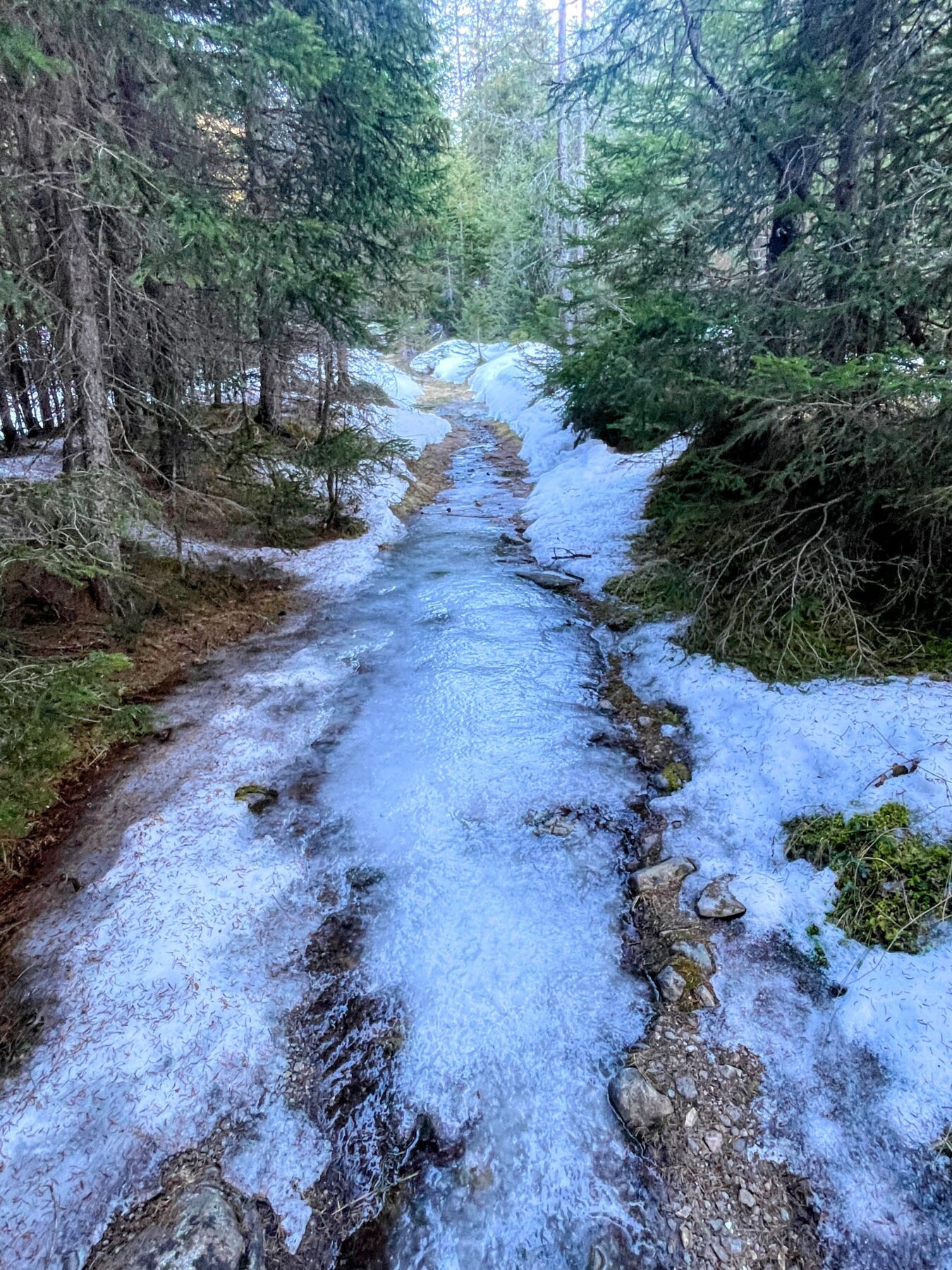 schneeschuhwanderung_berguen_keschhuette_