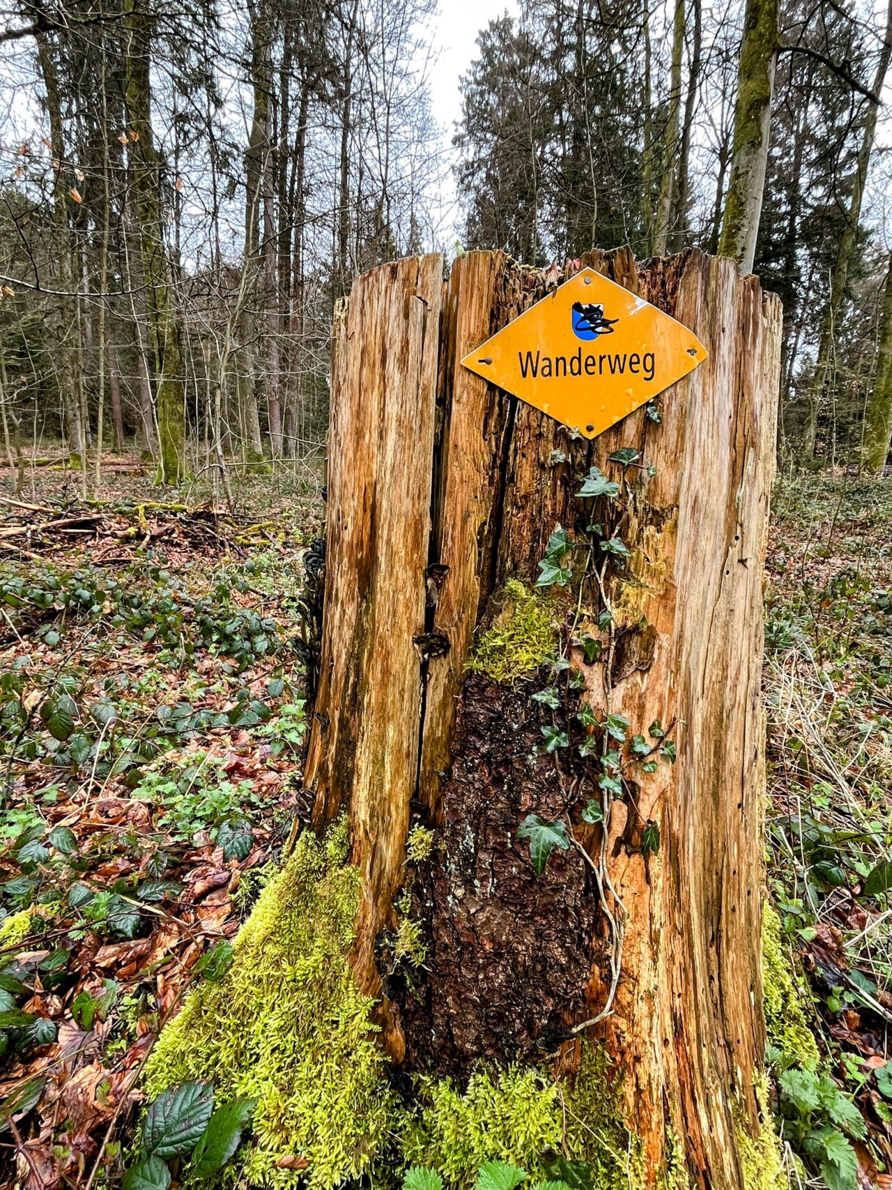 wanderung_hardwaldturm_